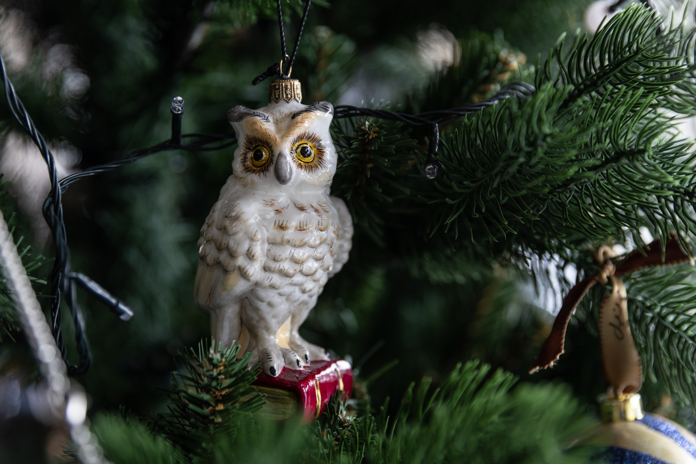 День 19 #адвенткалендарь. Главная