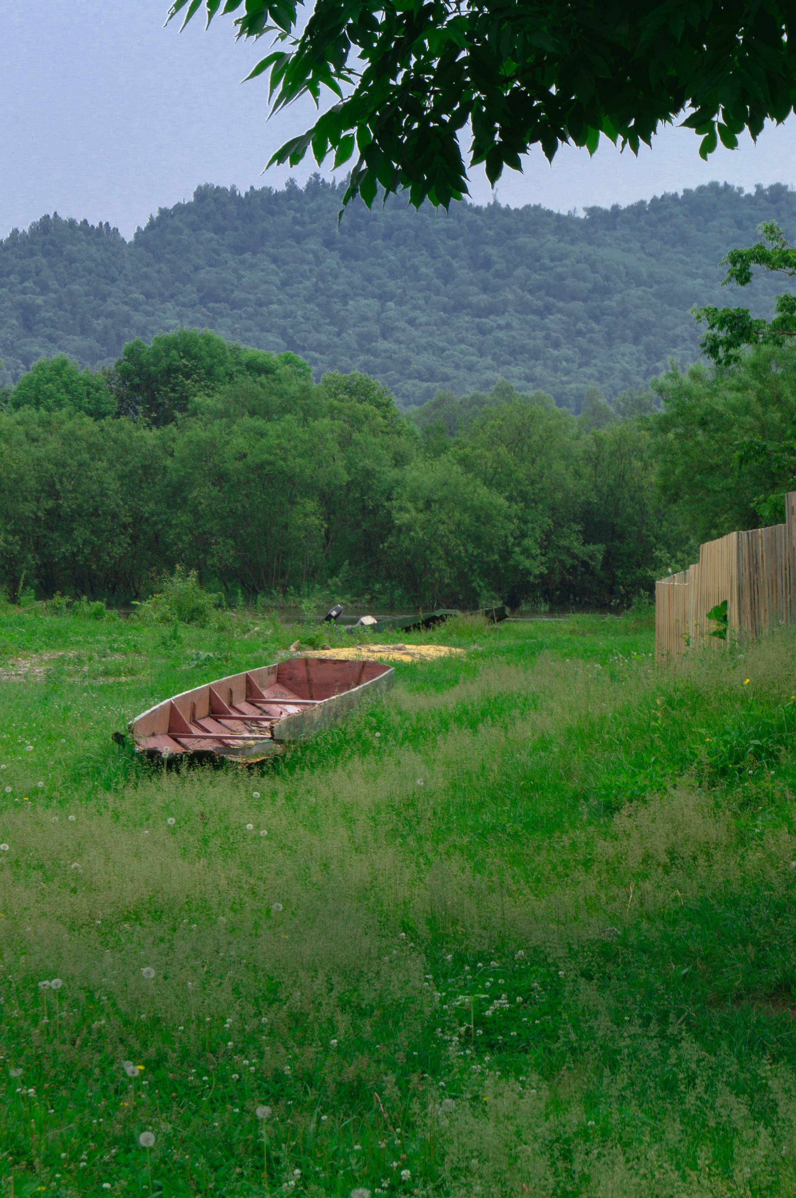 Удэгейша. Колентеева Наталья/фотограф