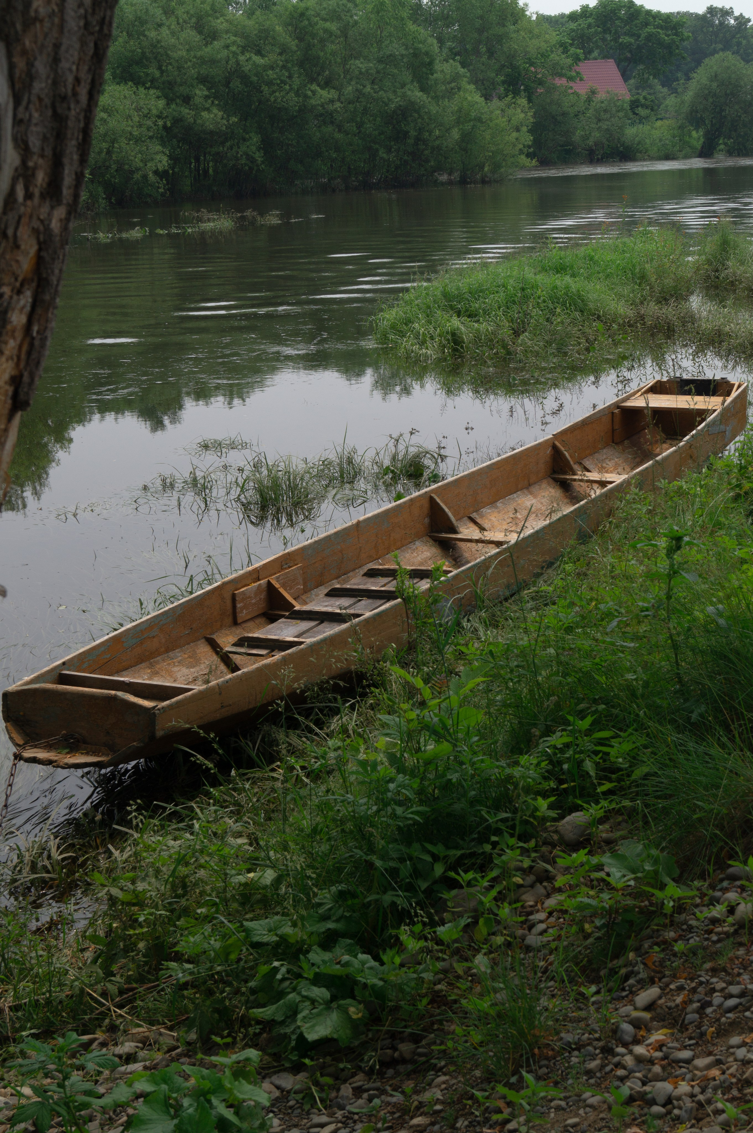 Удэгейша. Колентеева Наталья/фотограф