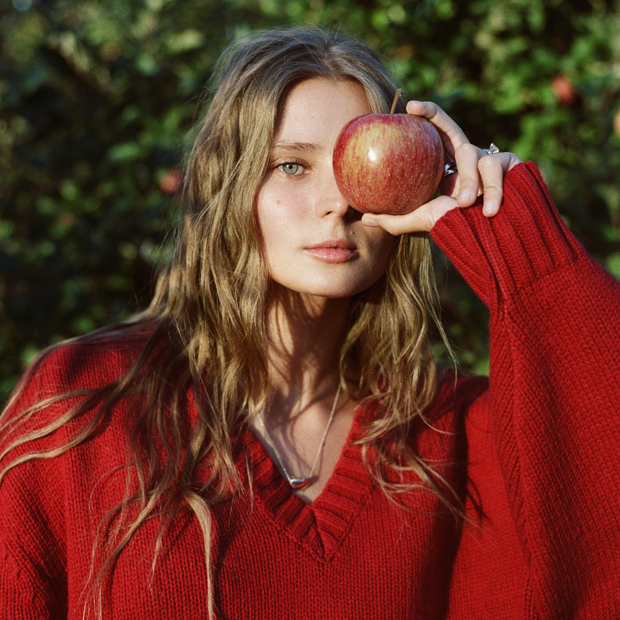 Services. Portrait and food photographer Sergei Sterling