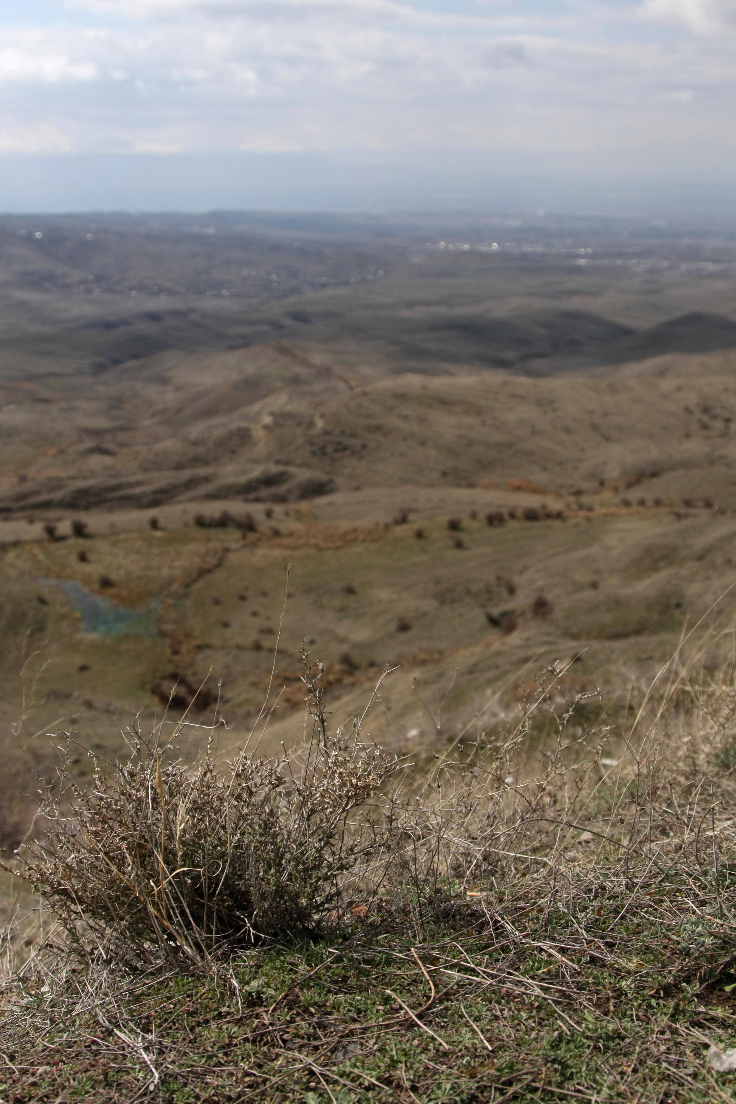 Разговоры об Армении. Walk & Fly with Batay