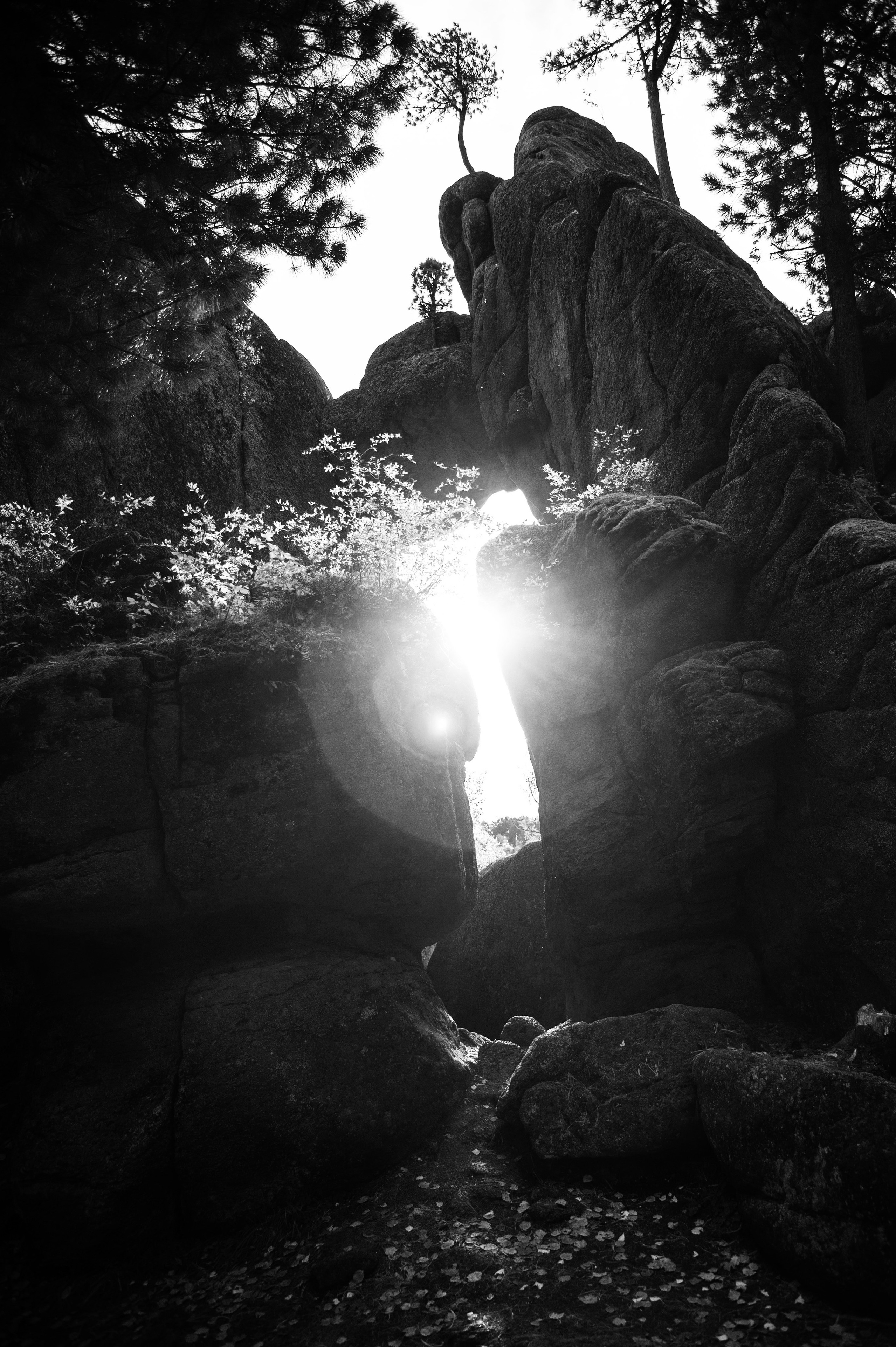 Работы, сделанные в Арт-резиденции «Красноярские столбы». Арт-фотография, терапевтическая фотография в Москве. Фотограф Анна Ермолова