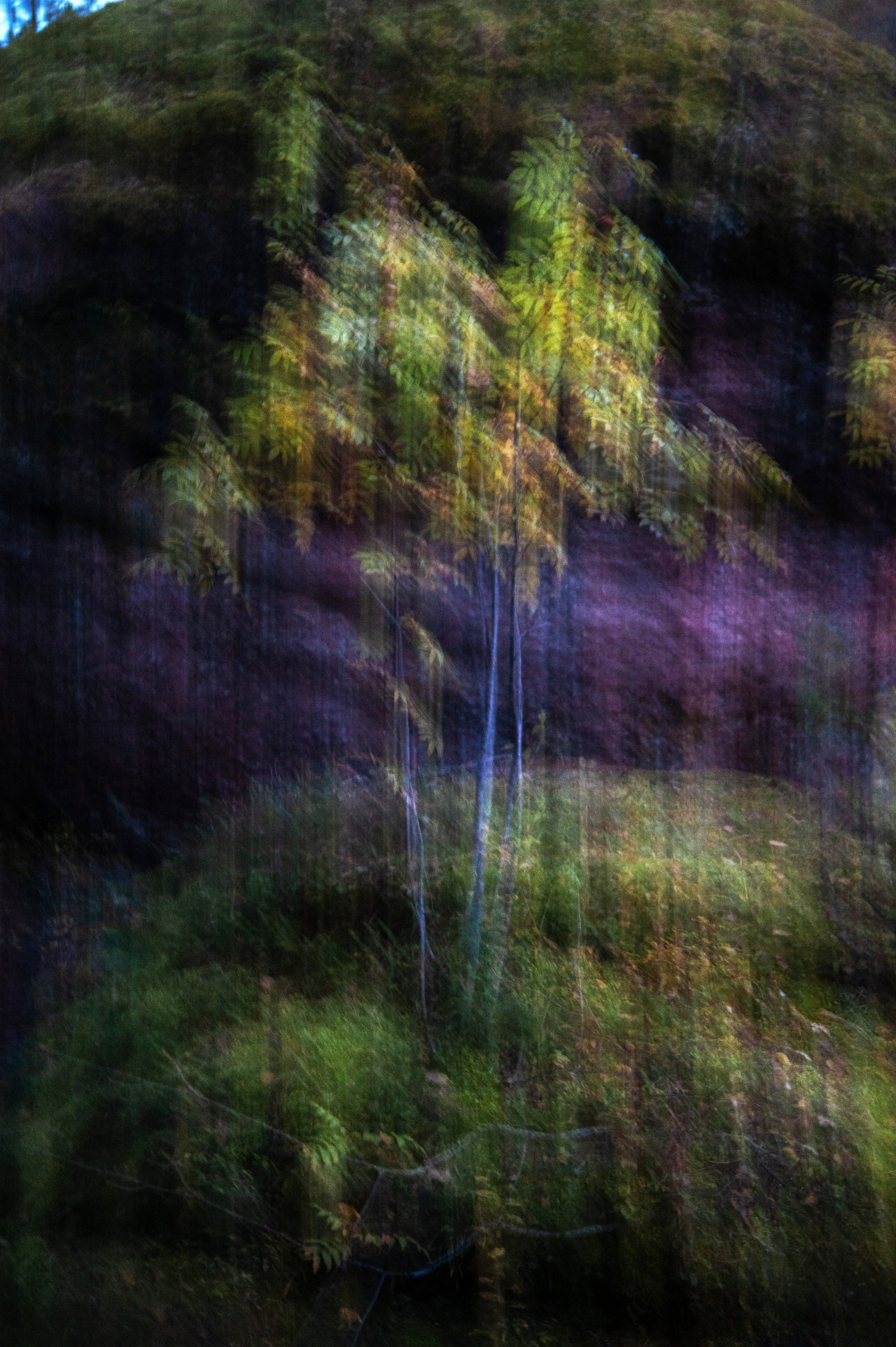 Работы, сделанные в Арт-резиденции «Красноярские столбы». Арт-фотография, терапевтическая фотография в Москве. Фотограф Анна Ермолова