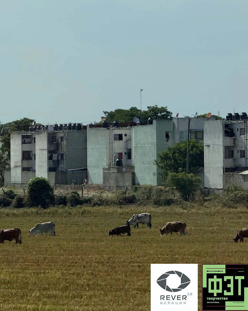 Альбом 07.12.25 проект ФЭТ