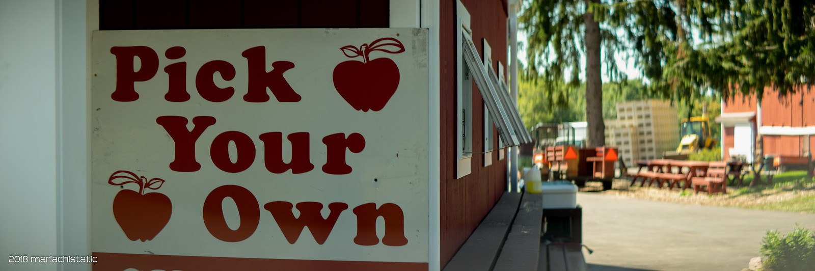 Объективы: анаморфот. PHOTO COMMUNITY #SBERTEAM