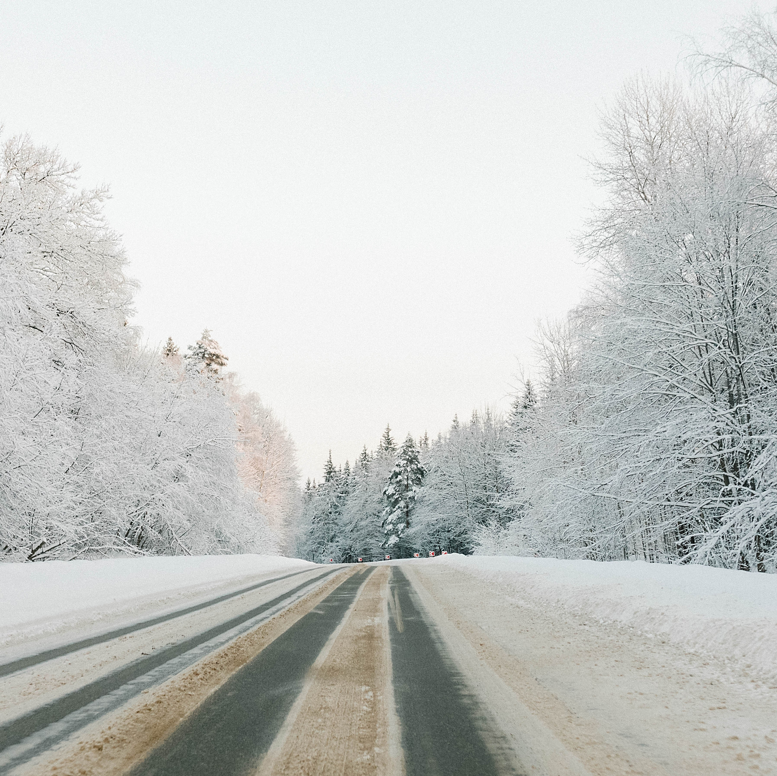 выставка 2025, выставка фотографии, выставка 2026, выставка зимней фотографии, выставка москва, фотовыставка