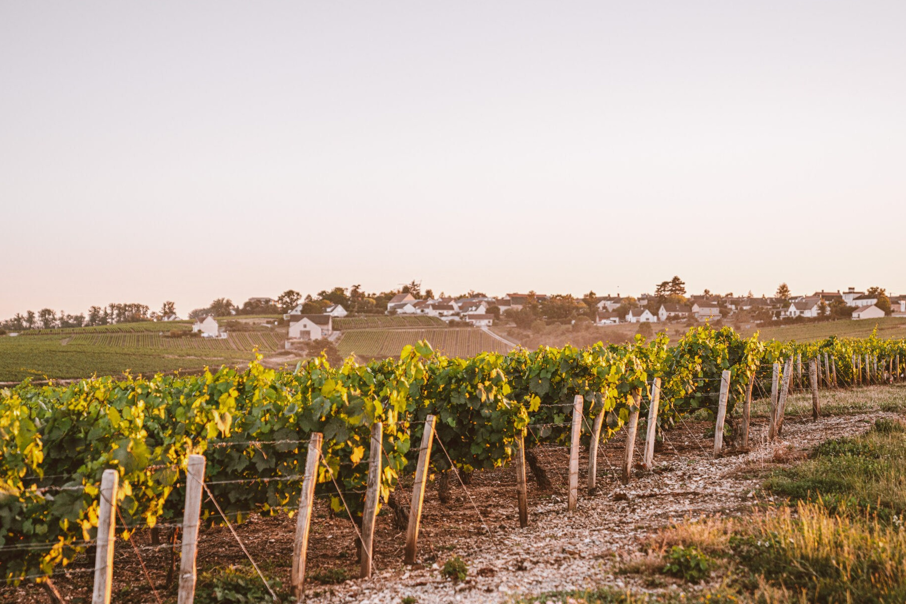 ITINERARY PLANNING. Services Olga Modjaro