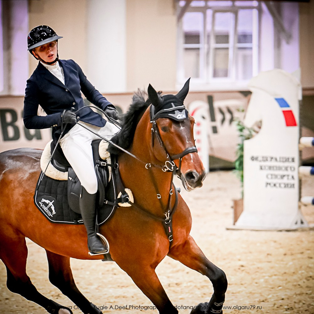 2025.10.25 — КСК Виват, Россия!. ТУРНИРНАЯ КОННАЯ ФОТОГРАФИЯ, Руднева Ольга и Евгений Адеев
