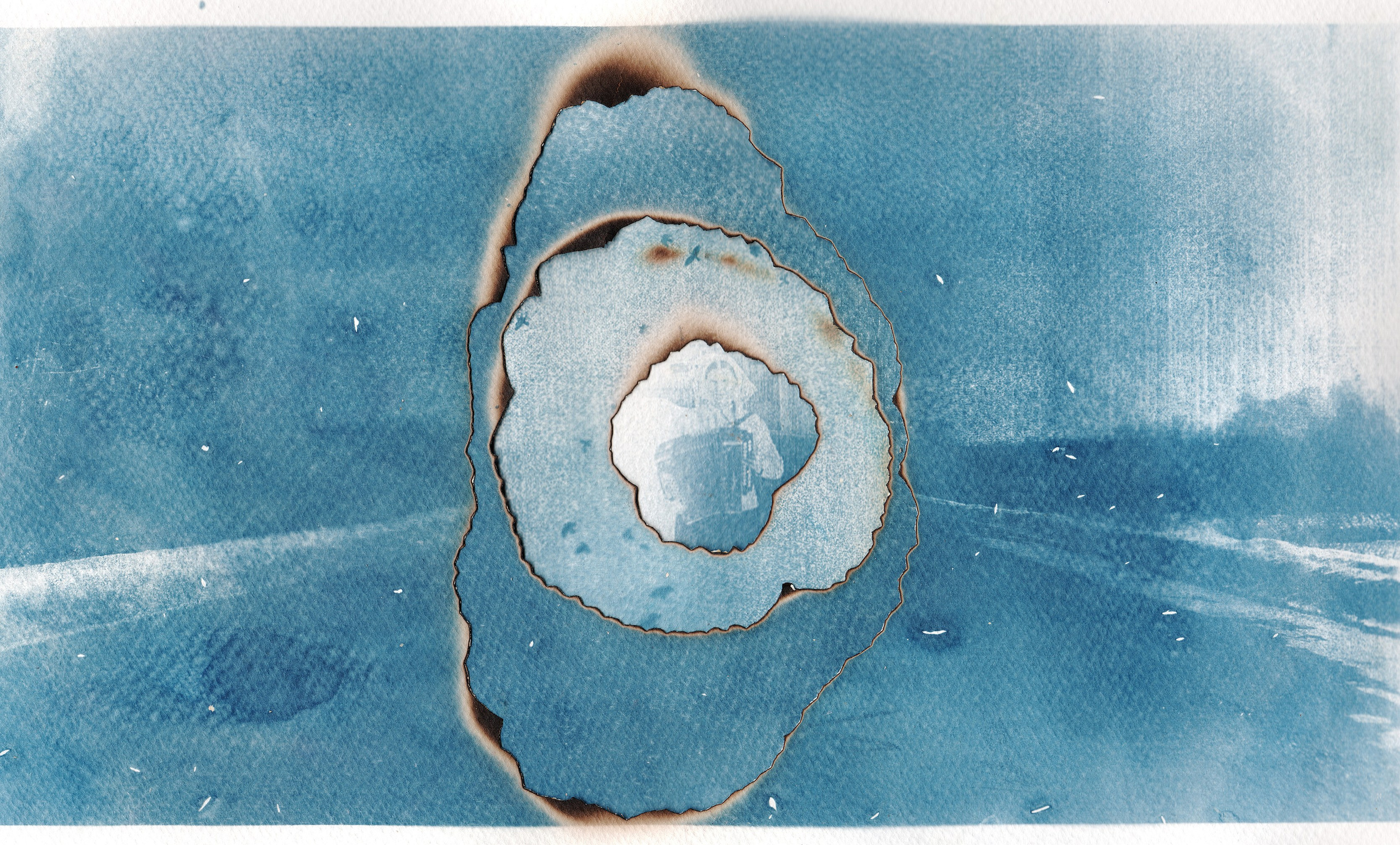 Сибирский путь. Julia Altukhova, multimedia artist