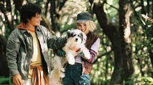 Мост в Терабитию