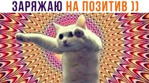 Свадебное видео. Фотограф в Ростове-на-Дону и Краснодаре Роман Кудрявцев