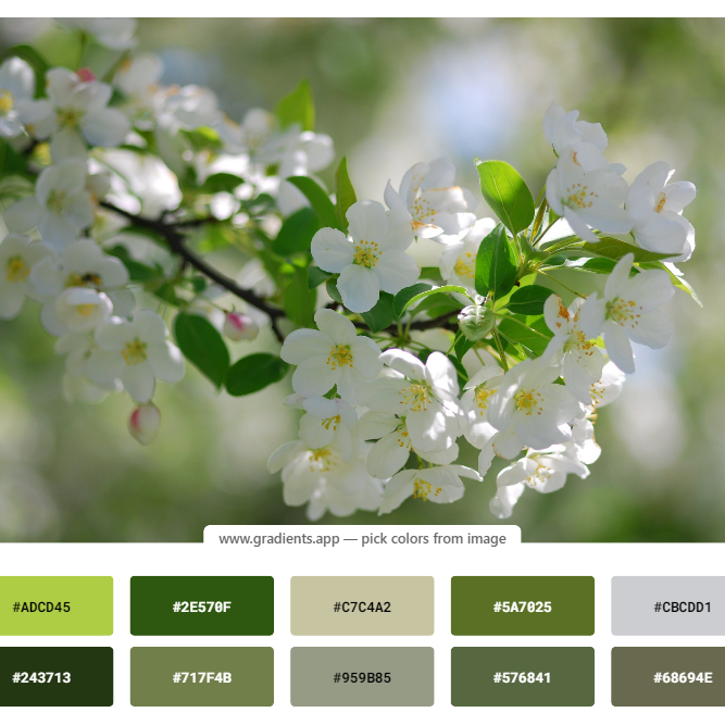 Выбираем одежду для весенней фотосессии в цветении. Полина Бамбиза фотограф фотосессии Красноярск фотокниги портрет