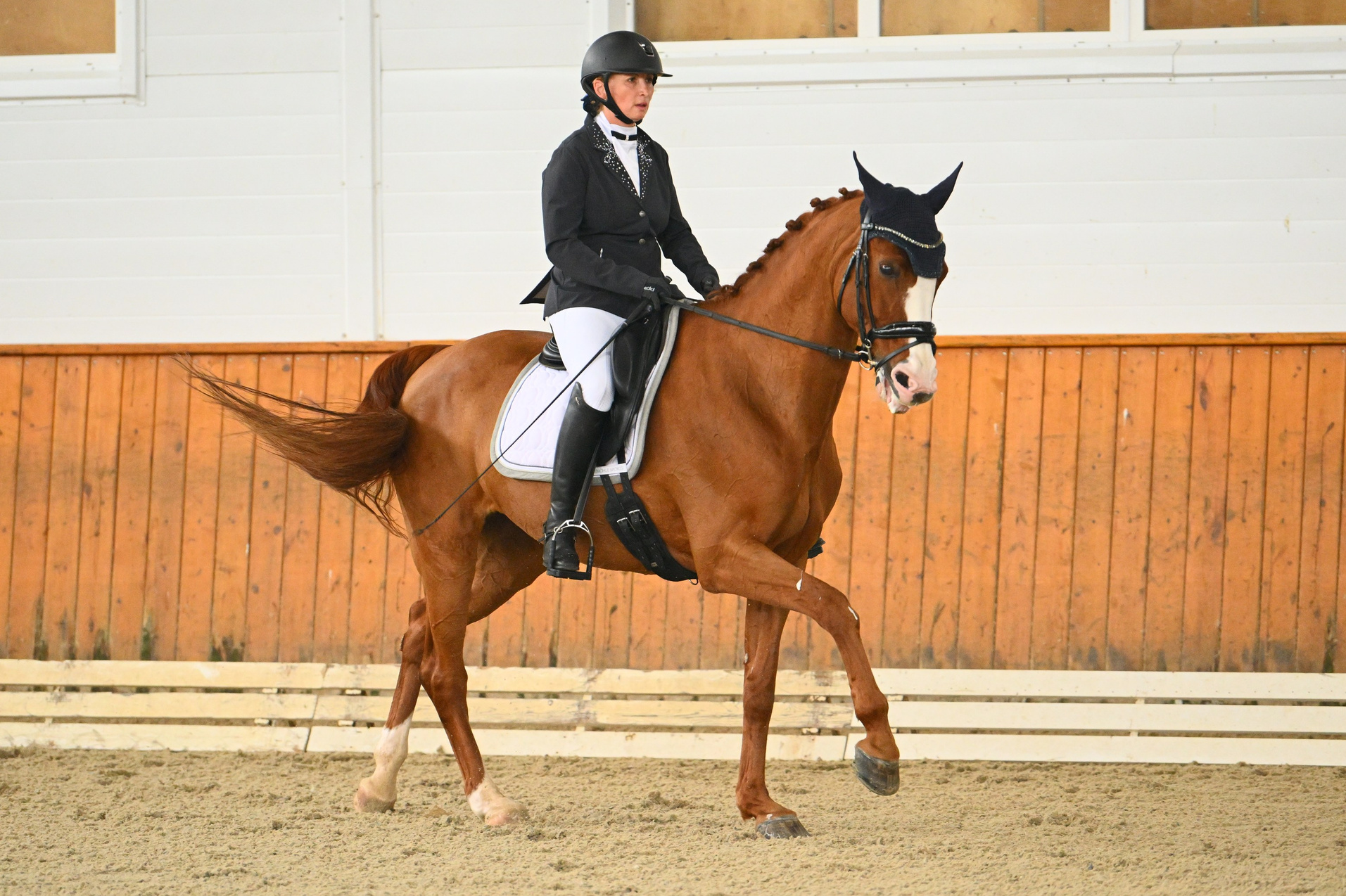 2025.07.20 — КСК «КОНКОРД» ЛЕТНИЙ КУБОК (ВЫЕЗДКА). ТУРНИРНАЯ КОННАЯ ФОТОГРАФИЯ, Руднева Ольга и Евгений Адеев