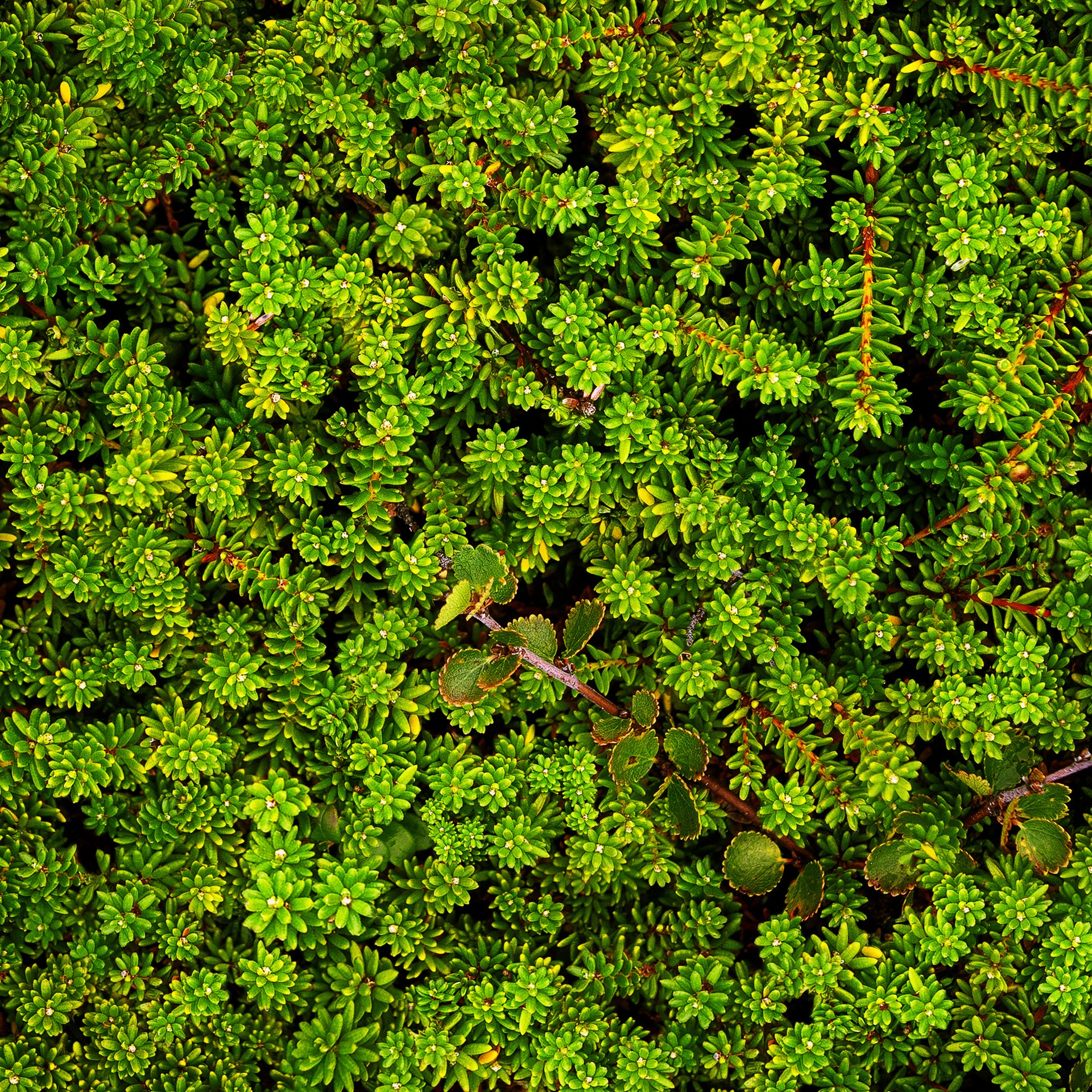 РЫБАЧИЙ 2025. Фототуры и обучение пейзажной фотографии