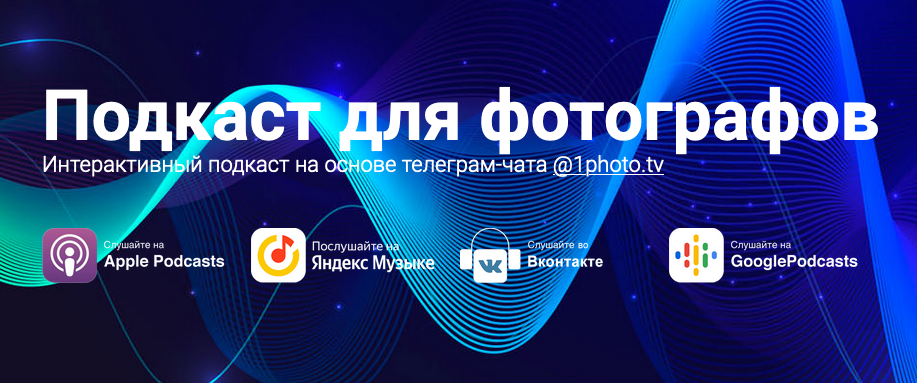 Нейросети для анималистов и бёрдвочеров. Фотограф Константин Шамин