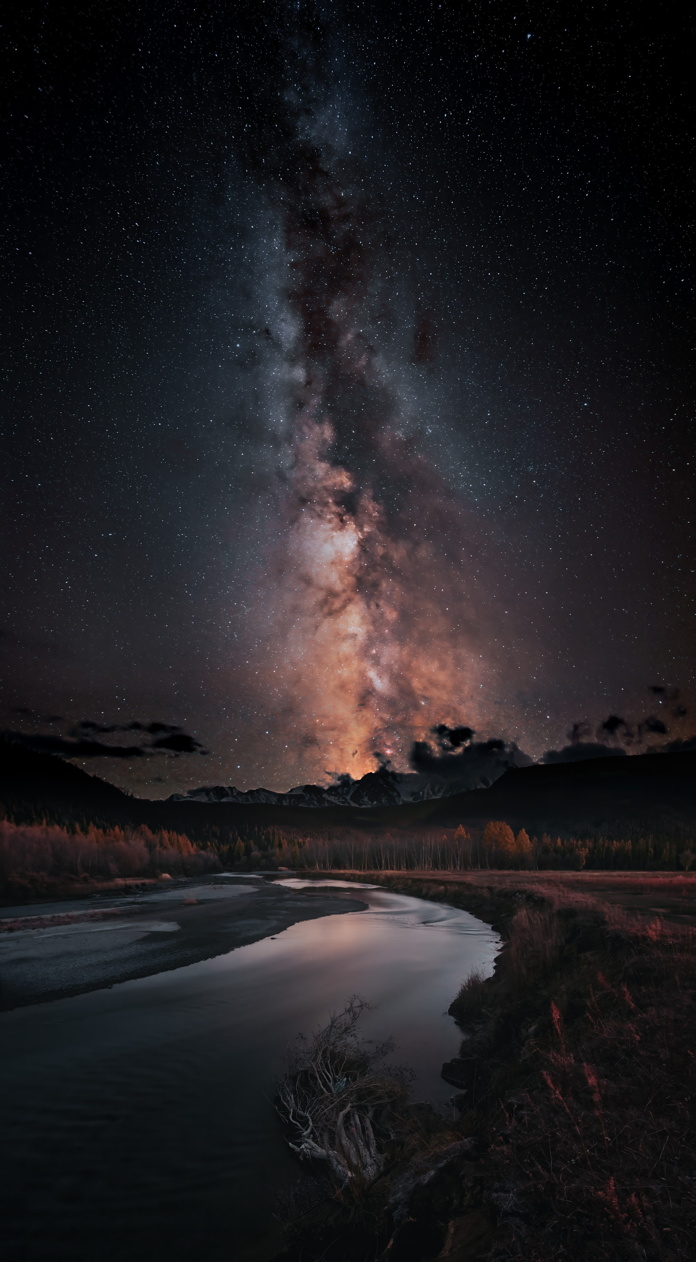 Portfolio Award 2025