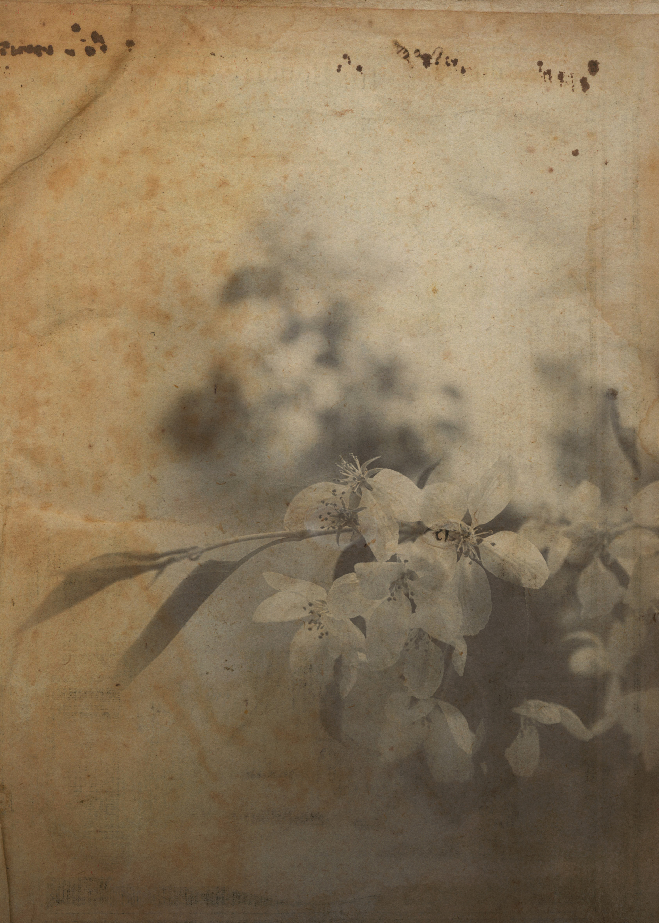 Свадебный проект «РОМЕО И ДЖУЛЬЕТТА». Фотограф в Омске Екатерина Павлова