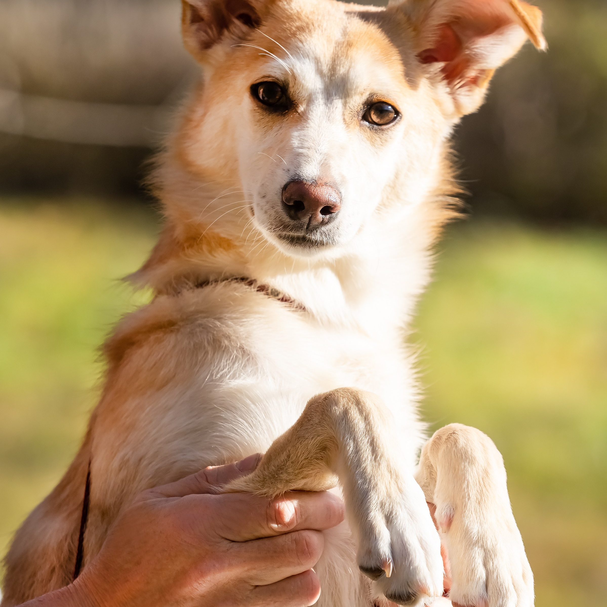 Услуги. Репортажный, семейный и детский фотограф в Пензе и Заречном Арина Ермилова. Картины барельеф на заказ