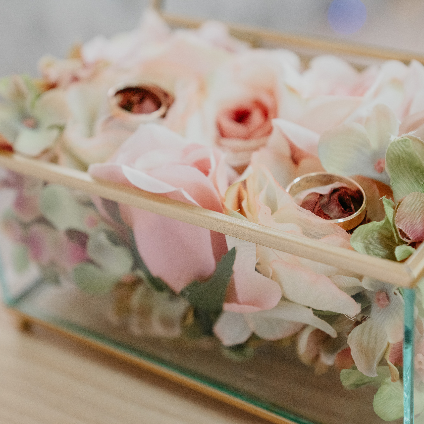 Фотограф Ольга Бережная г. Михайловка