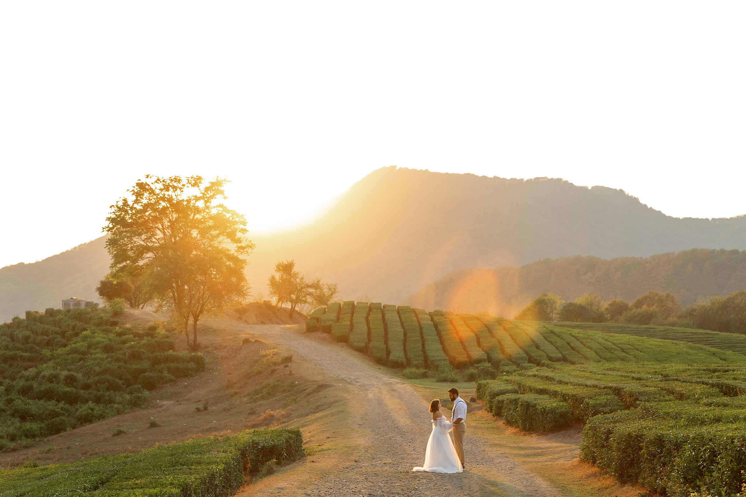 Свадьбы. Свадебный фотограф Ростов-на-Дону Сочи
