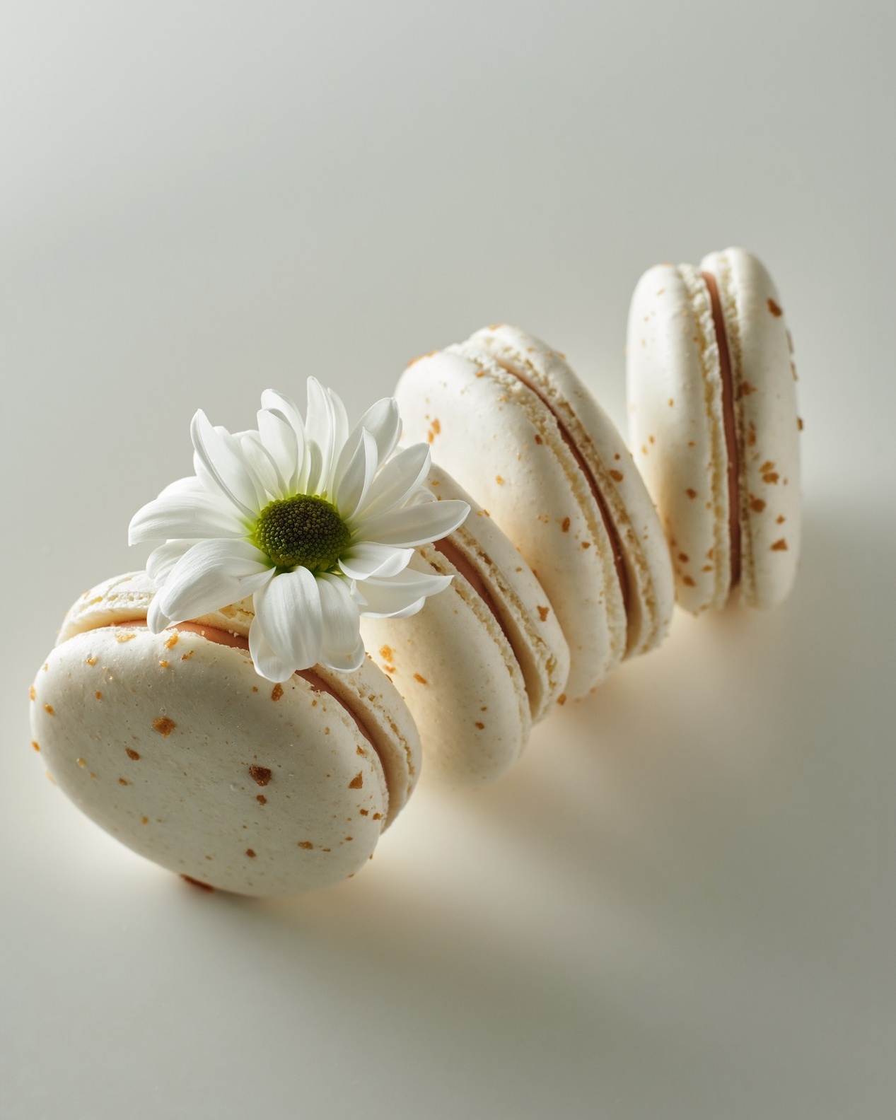 Photographer Monaco, Nice, French Riviera