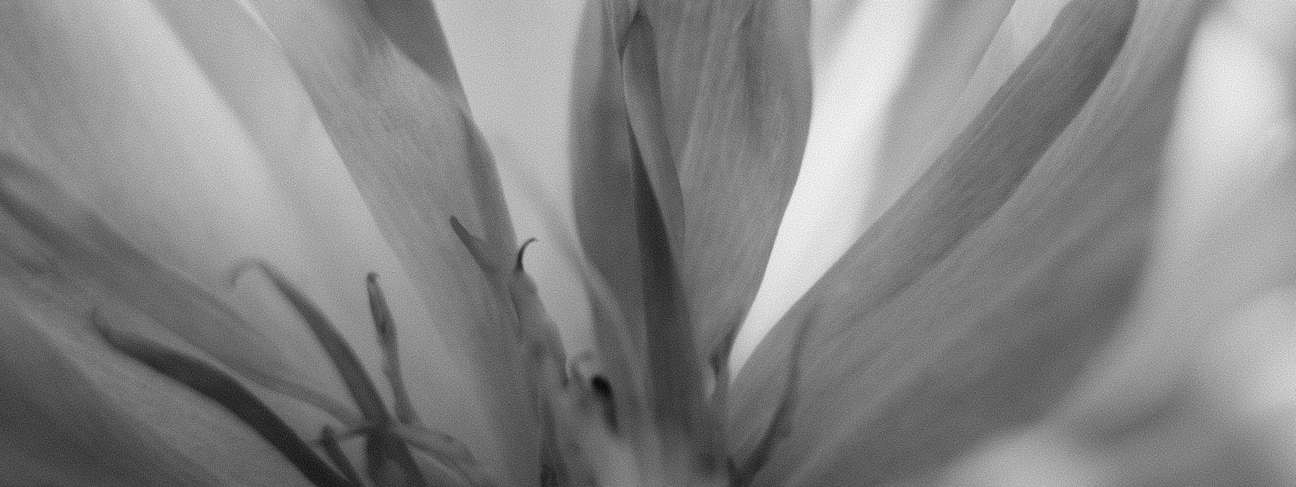 Как подготовиться к фотосессии. Главная