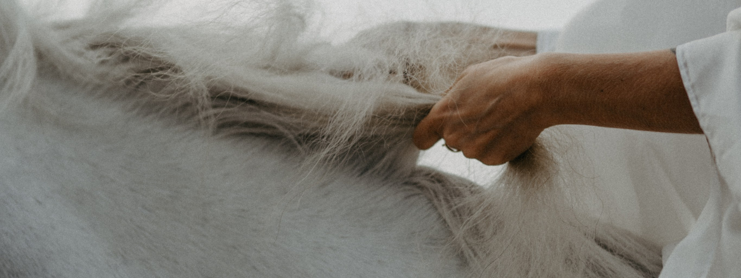 Подарок. Фотограф Санкт-Петербург Кристина Доценко