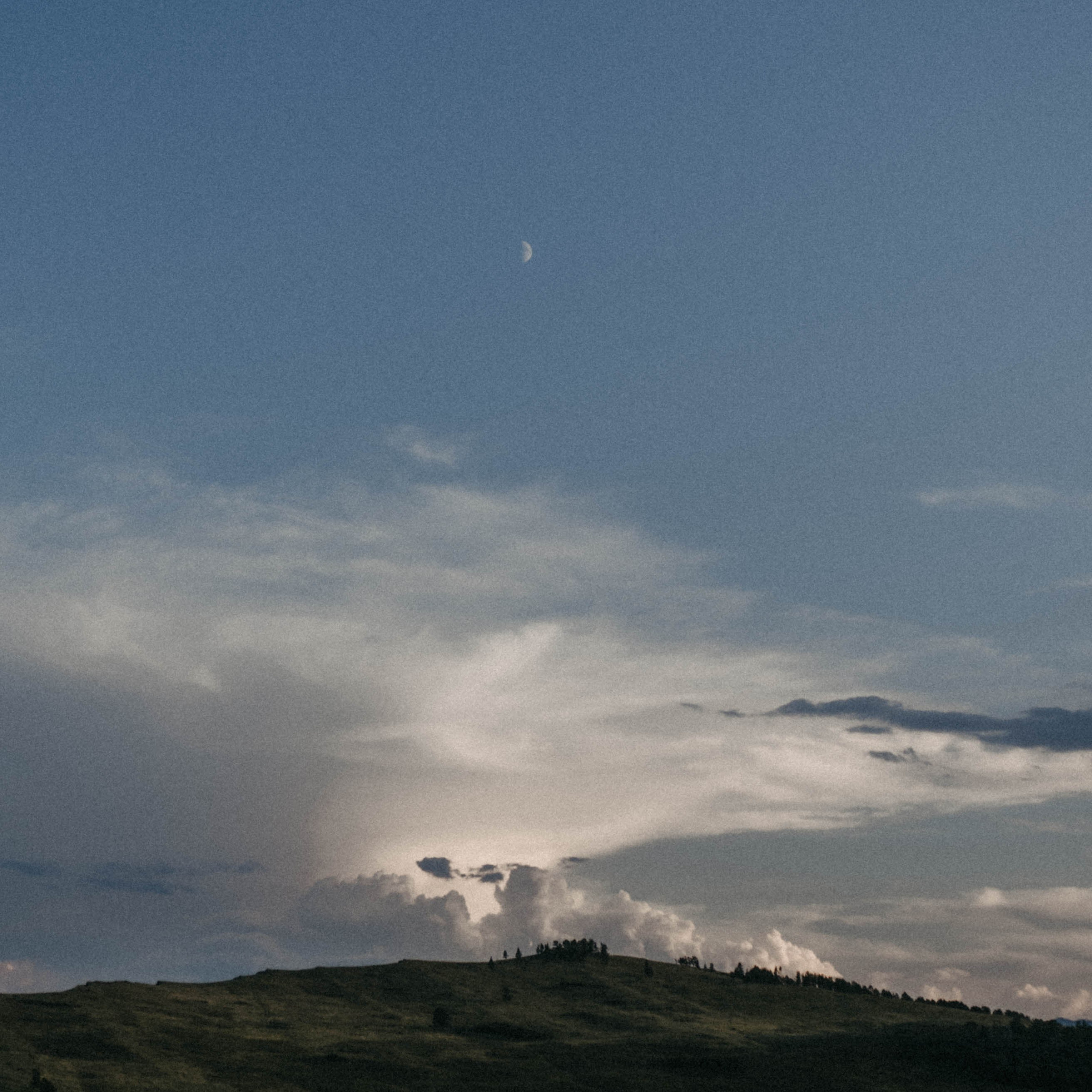 Обо мне. Фотограф Москва Селюкова Юлия