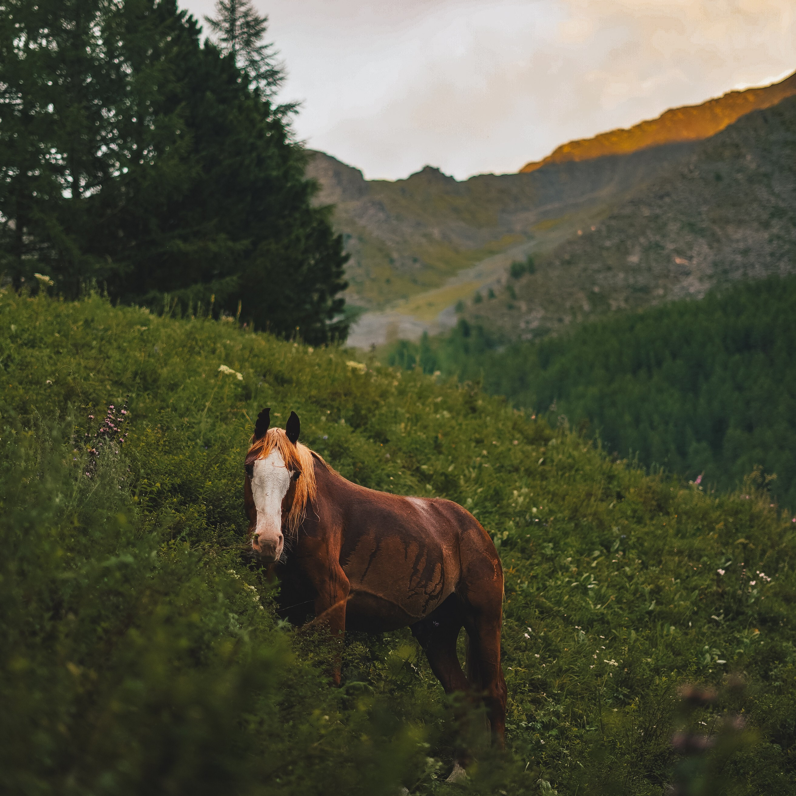 Собираемся в поход. Фотограф Ольга Пучкова