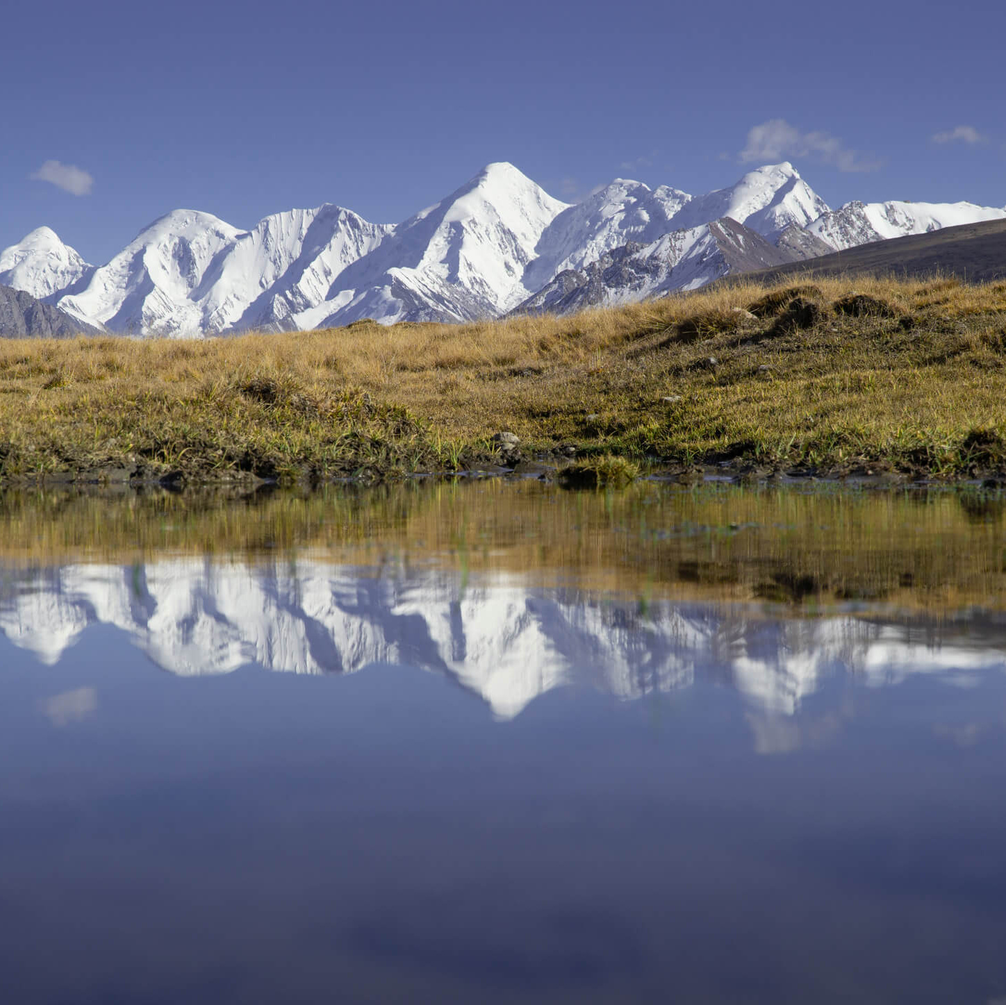 Фотоэкспедиция в Киргизию 3 сентября 2022. Фотограф Константин Шамин