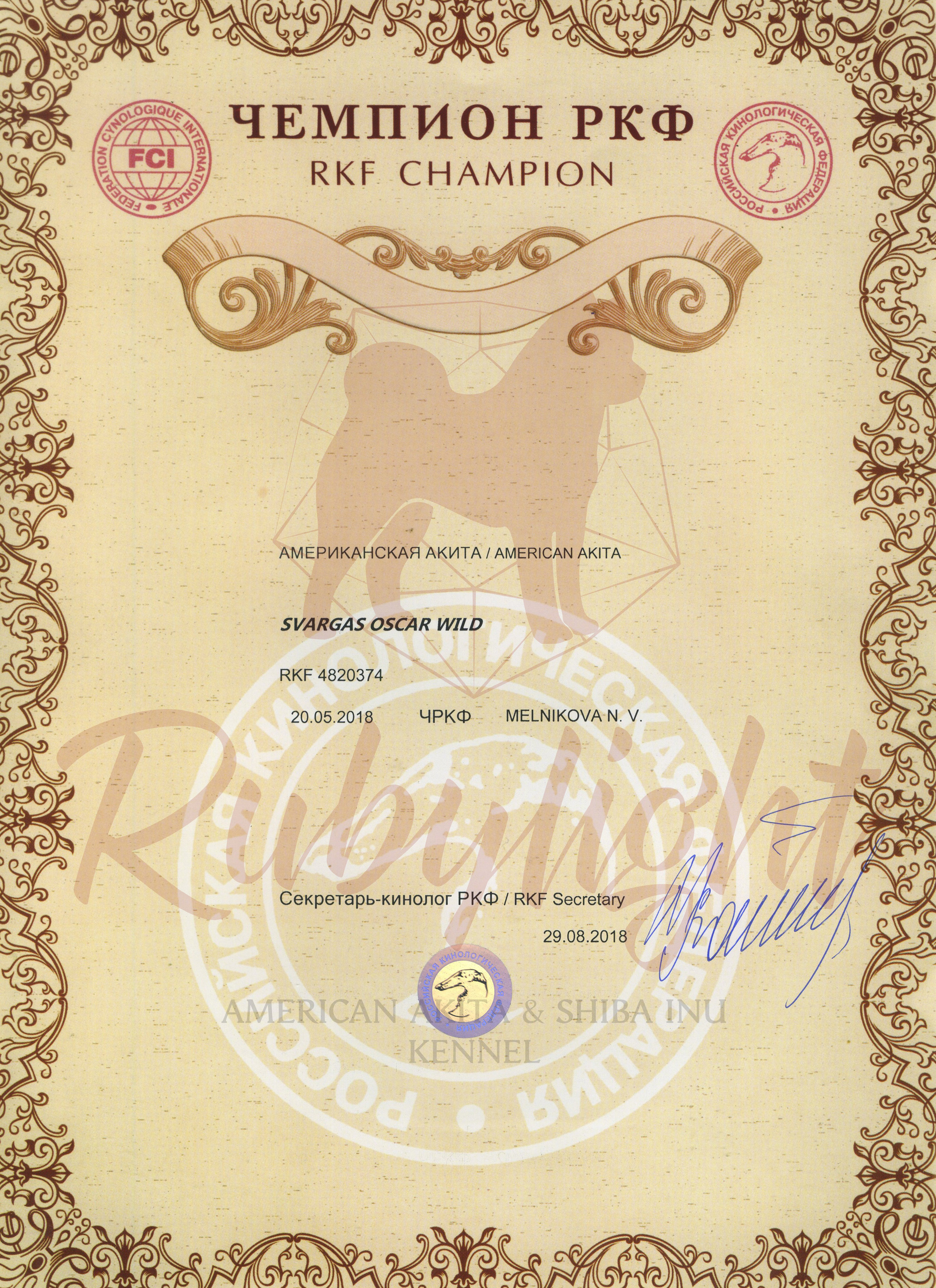 Новости питомника RUBYLIGHT, американская акита. AMERICAN AKITA RUBYLIGHT KENNEL I SHIBA-INU