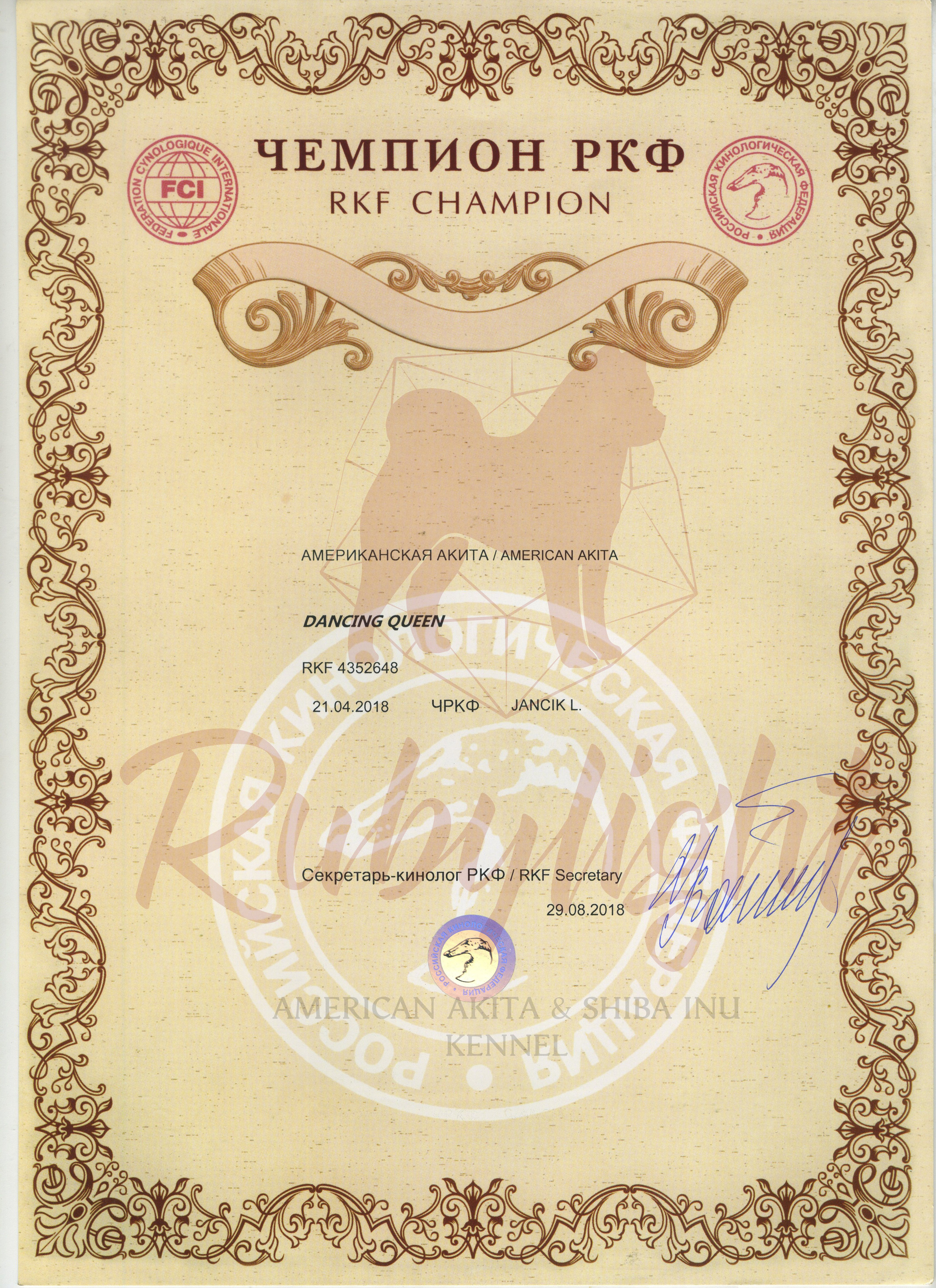 Новости питомника RUBYLIGHT, американская акита. AMERICAN AKITA RUBYLIGHT KENNEL I SHIBA-INU