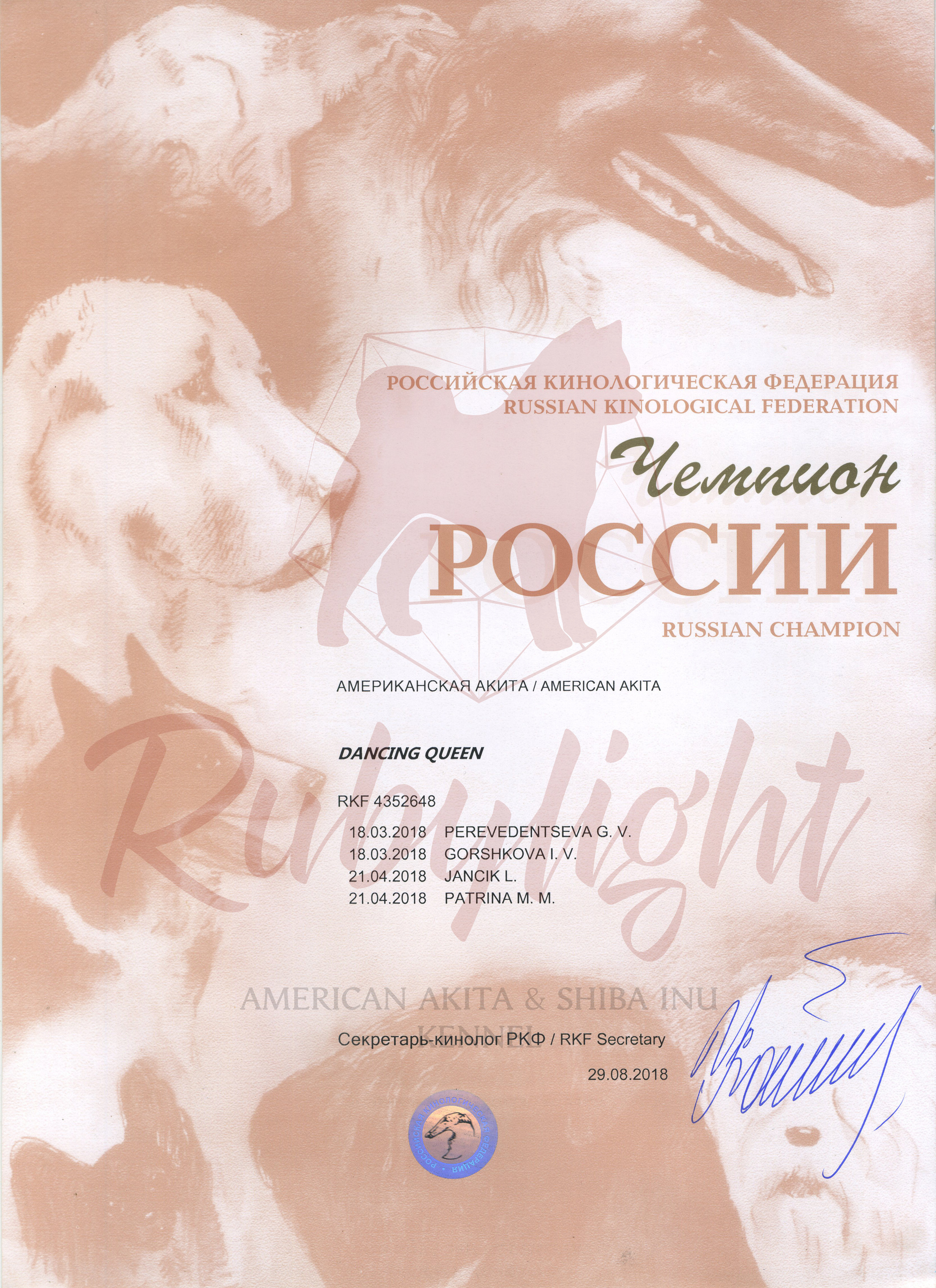 Новости питомника RUBYLIGHT, американская акита. AMERICAN AKITA RUBYLIGHT KENNEL I SHIBA-INU