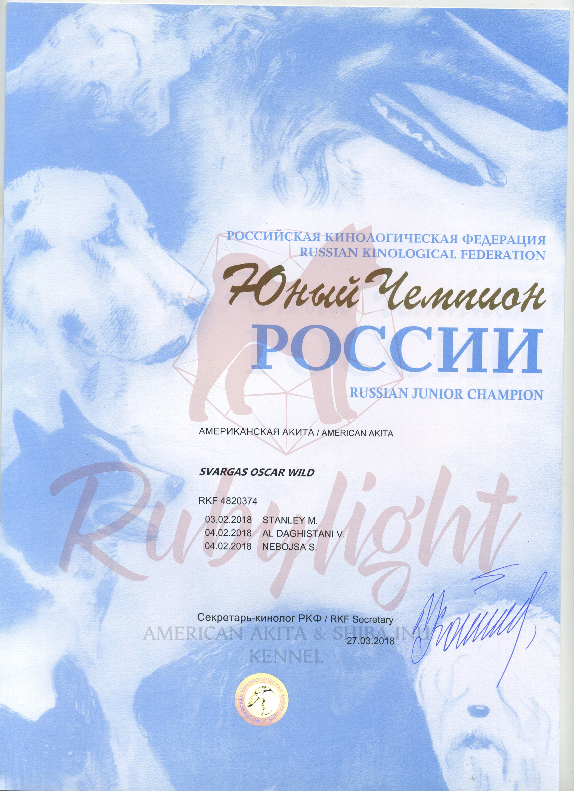 Новости питомника RUBYLIGHT, американская акита. AMERICAN AKITA RUBYLIGHT KENNEL I SHIBA-INU