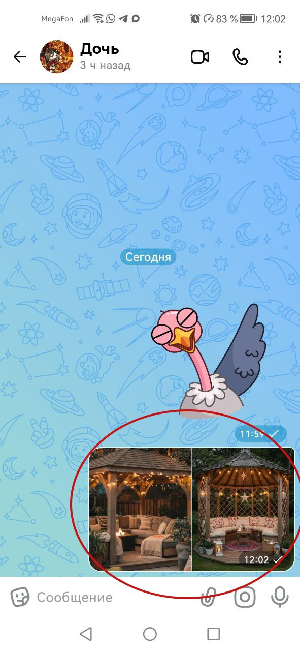 Ваш смартфон — надёжный помощник: 6 шагов к комфорту. НКО ЦИФРОВОЕ РАВЕНСТВО