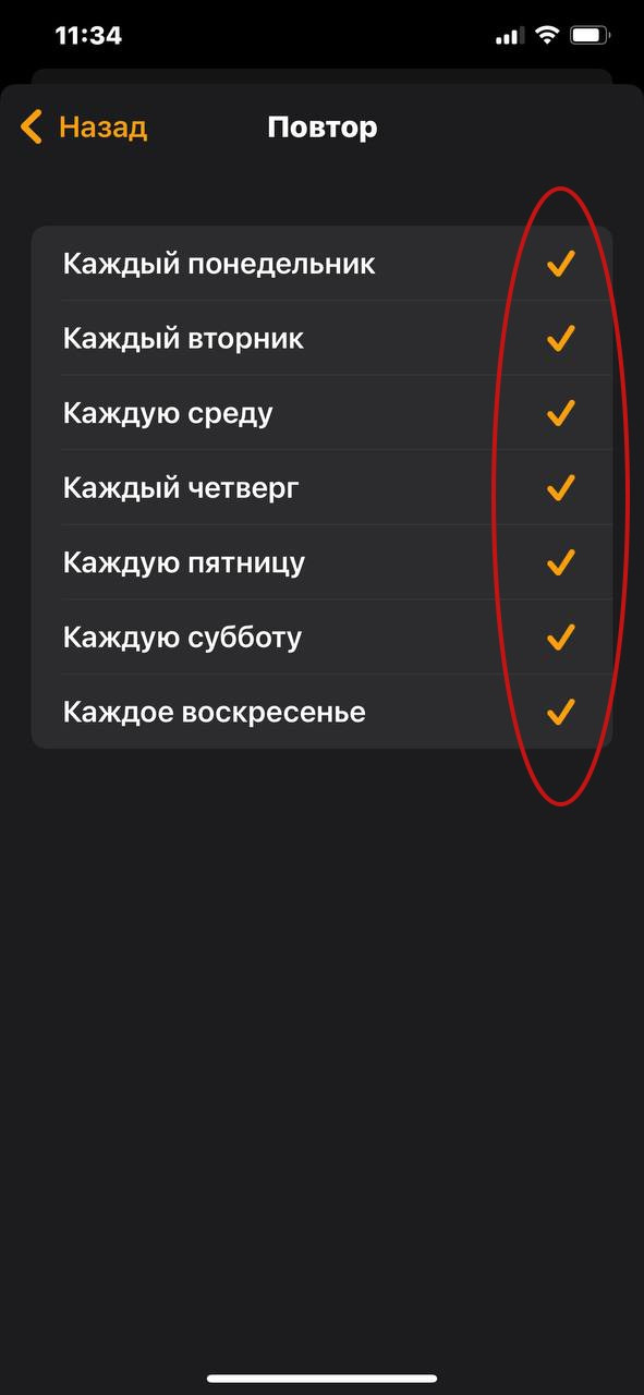 Ваш смартфон — надёжный помощник: 6 шагов к комфорту. НКО ЦИФРОВОЕ РАВЕНСТВО