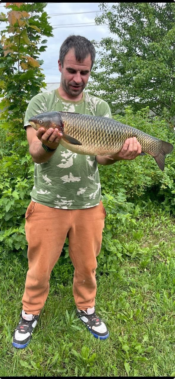 Отличный улов!. Оздоровительный комплекс Шалово-парк Серебряные ключи