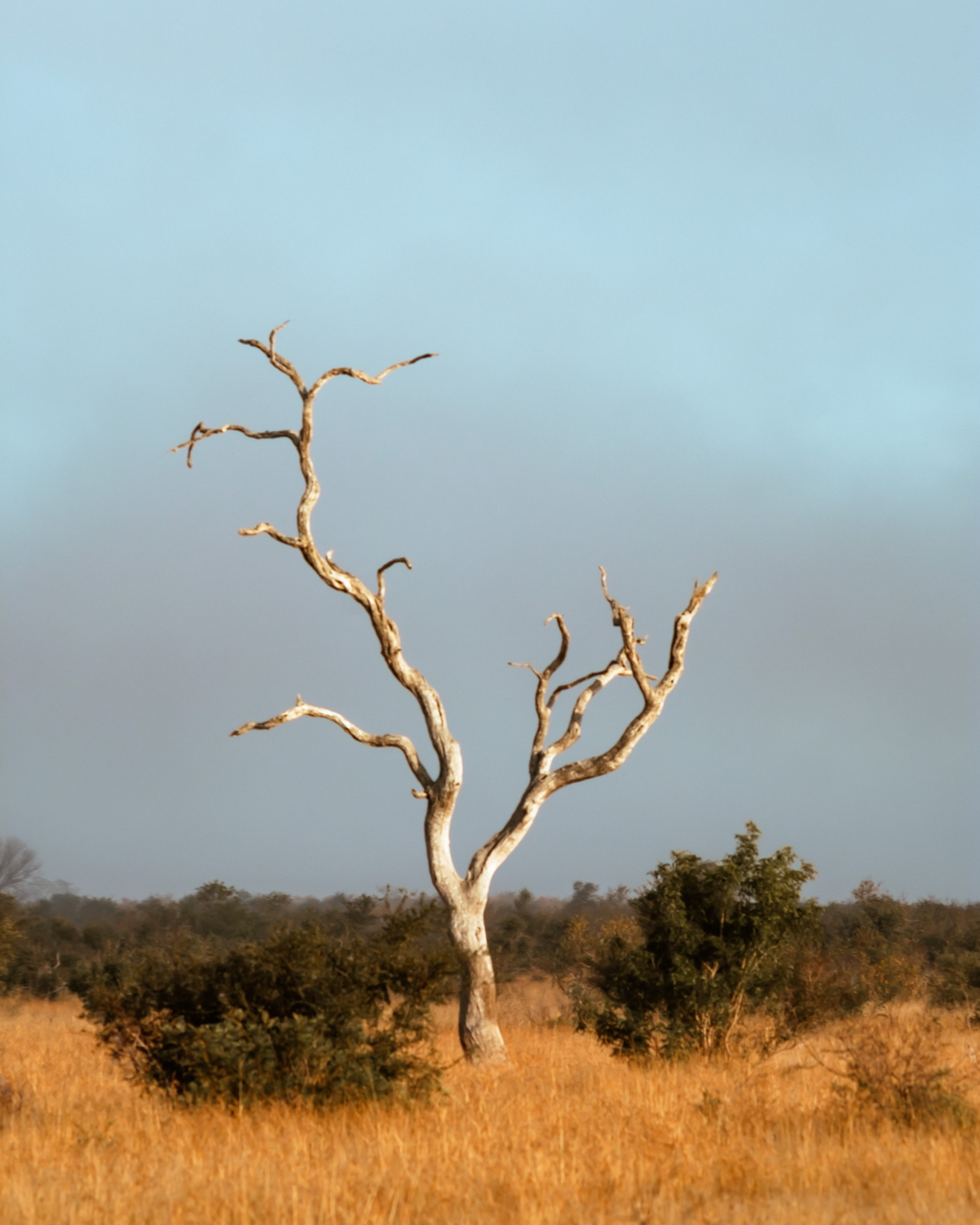 Фотограф Конопихин Константин