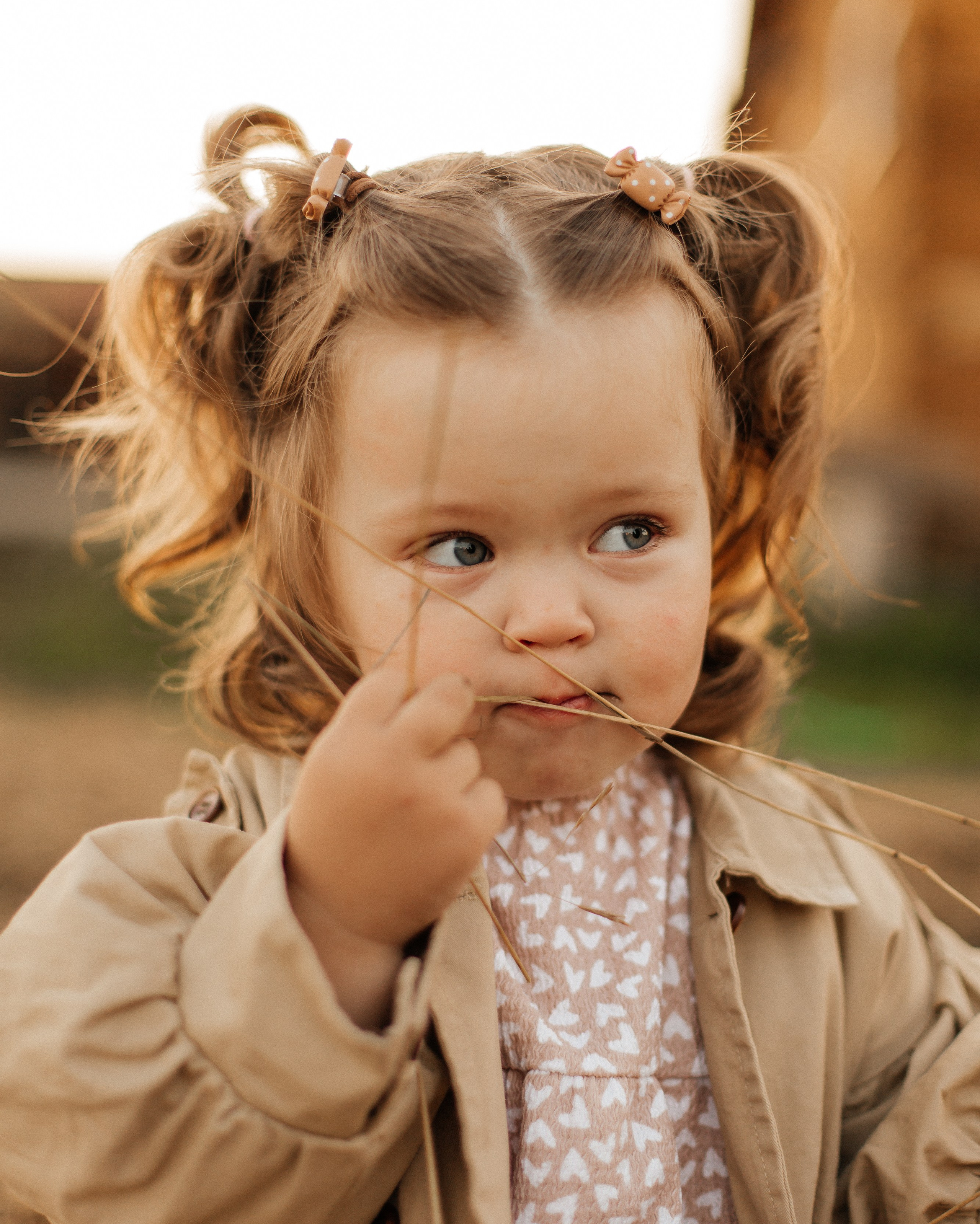 Услуги. Свадебный и семейный фотограф в Иркутске