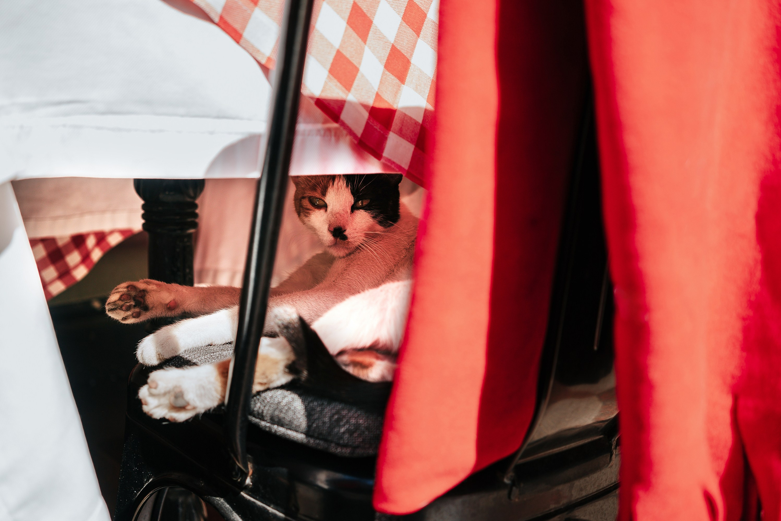 Постеры. ИНфото. Авторские фотографии для интерьеров