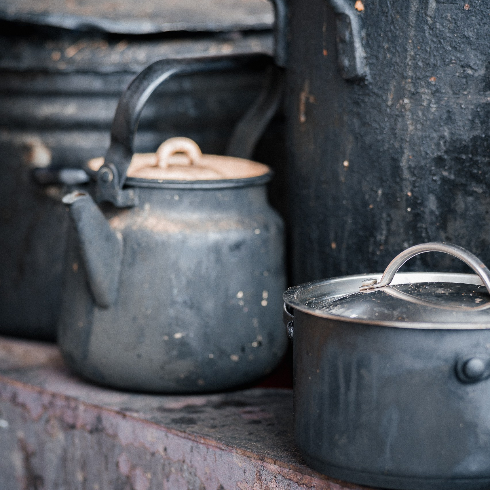 Улыбка собаки — спасение и пристройство бездомных собак