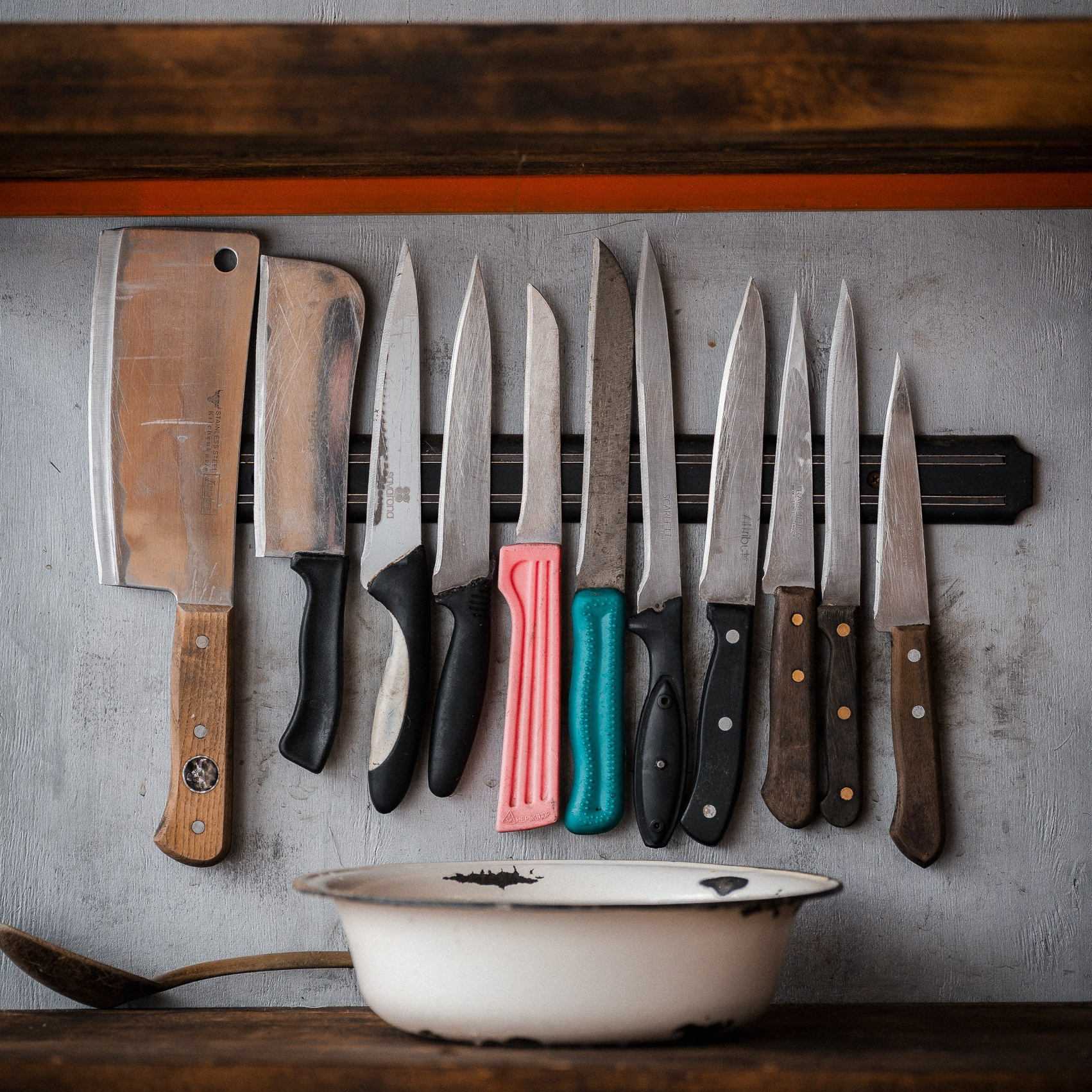 Помощь. Улыбка собаки — спасение и пристройство бездомных собак