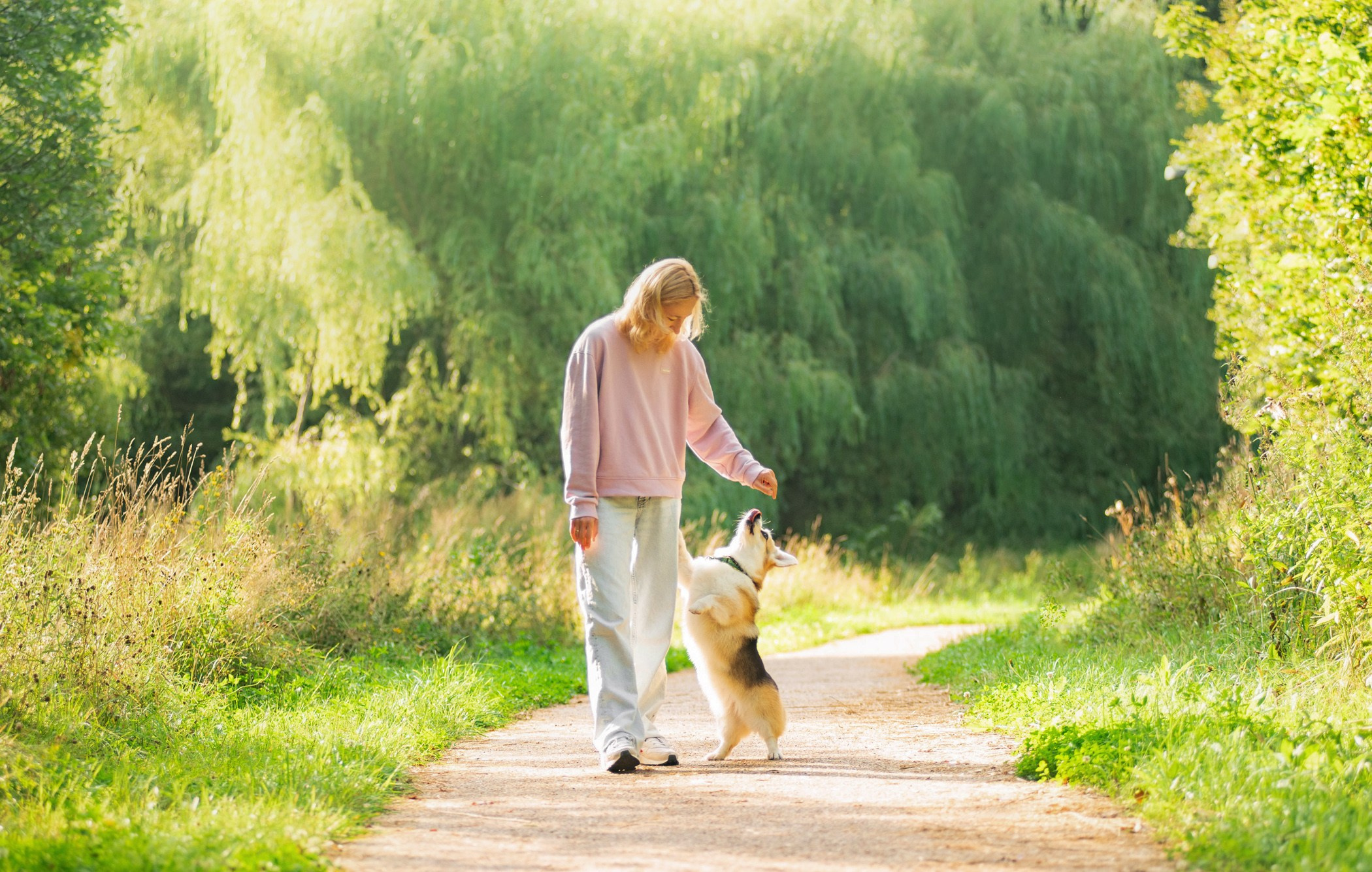 Услуги. Фотограф — анималист Саратов/Москва|Плужникова Юлия