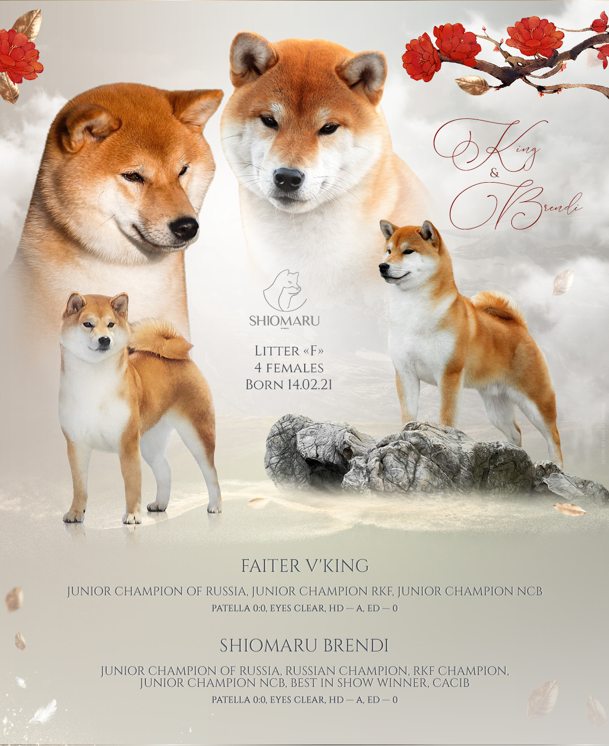 LITTERS. SHIOMARU Shiba and Akita Inu Kennel