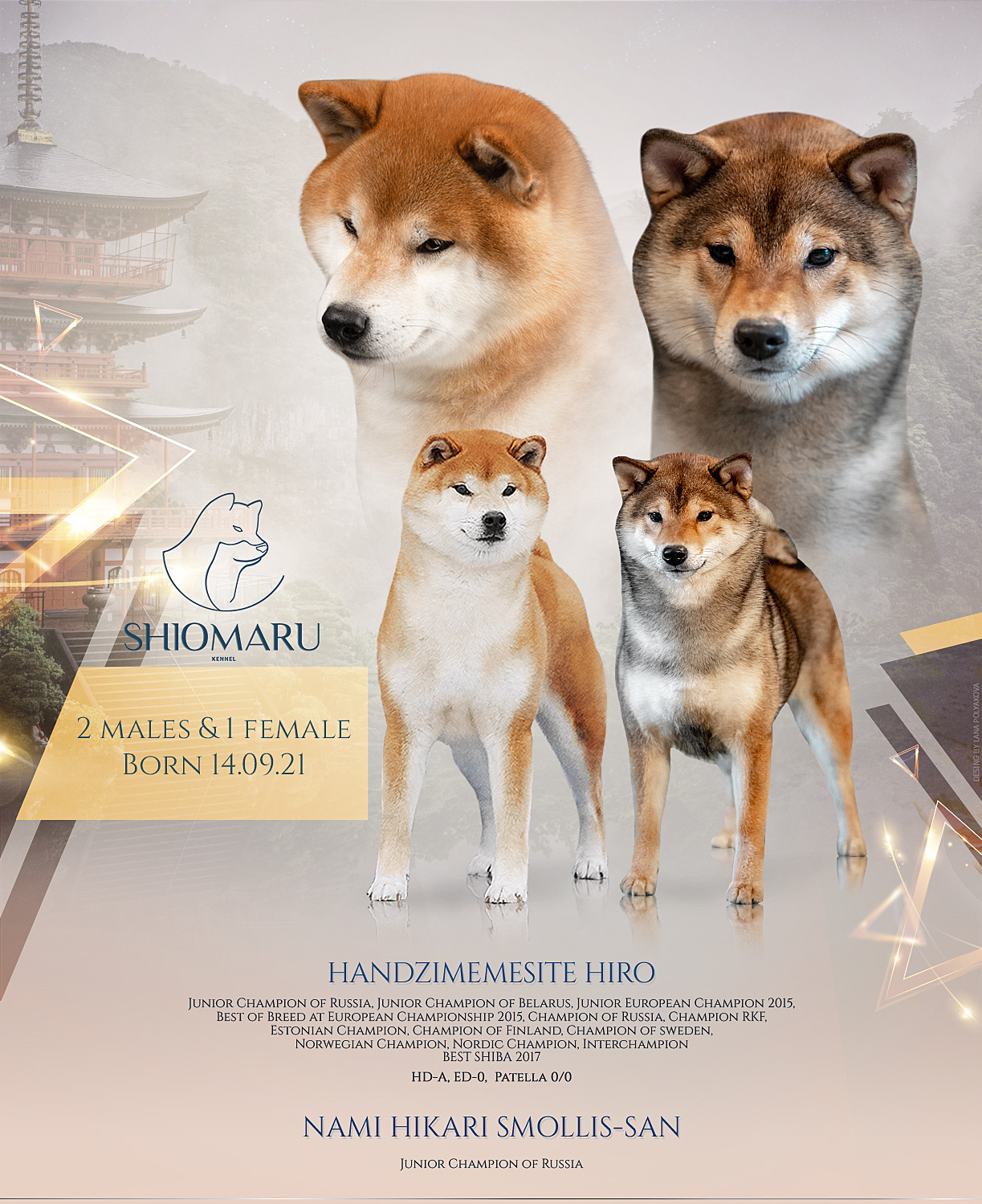 LITTERS. SHIOMARU Shiba and Akita Inu Kennel