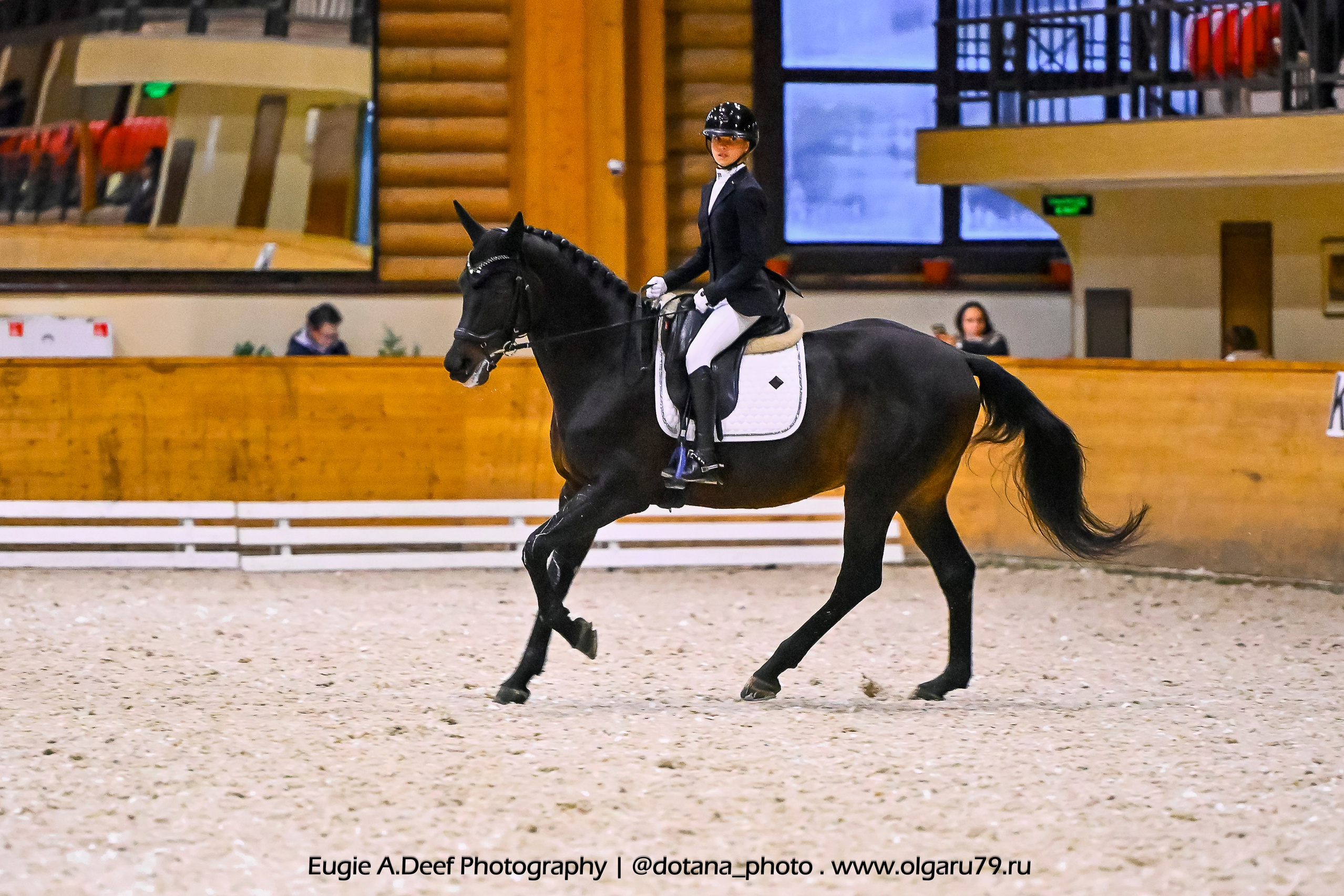 2025.10.18 — КСК Пегас — выездка. ТУРНИРНАЯ КОННАЯ ФОТОГРАФИЯ, Руднева Ольга и Евгений Адеев