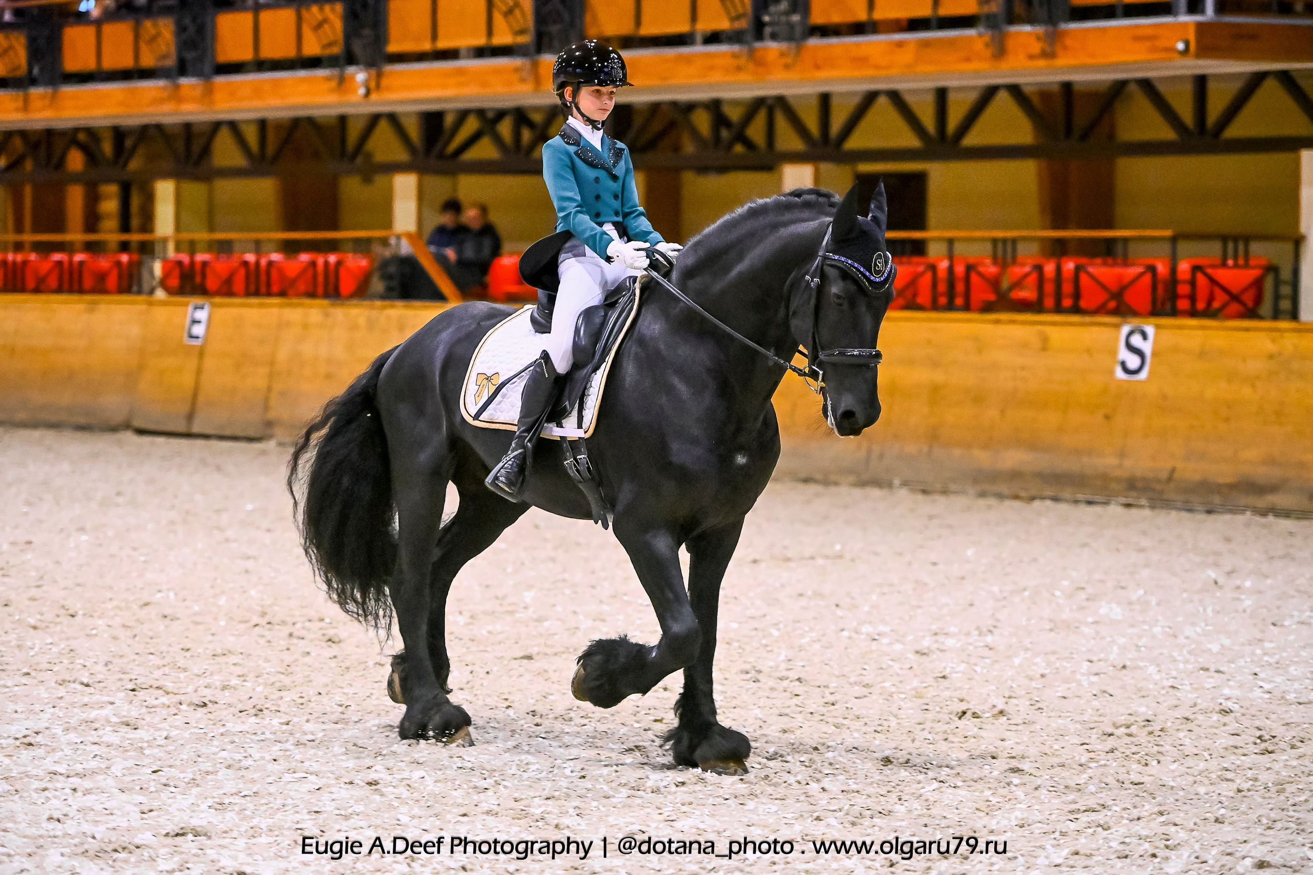 2025.10.18 — КСК Пегас — выездка. ТУРНИРНАЯ КОННАЯ ФОТОГРАФИЯ, Руднева Ольга и Евгений Адеев
