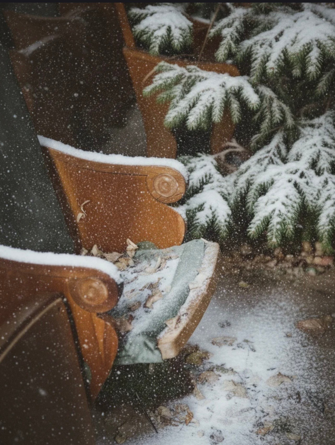 Нестандартные новогодние фотостудии в Москве в 2025 году. Фотосессия под ключ в Москве — креативные, женские и семейные съёмки | Фотограф Анна Лебедева