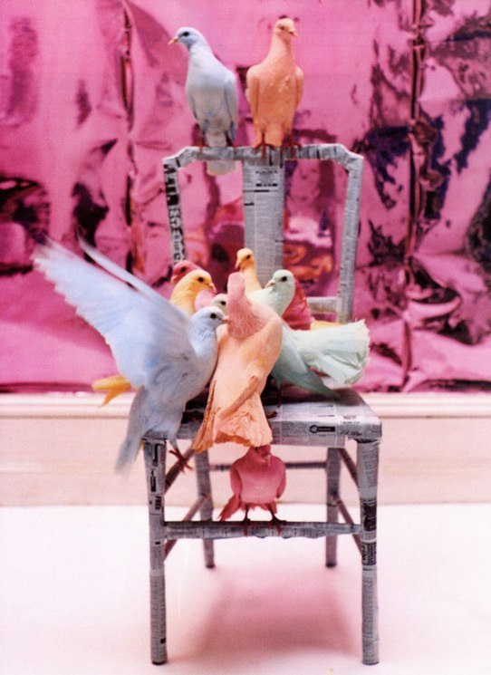 Тим Уолкер. Выпускные альбомы, фотограф Денис Зимин в городе Ростове-на-Дону