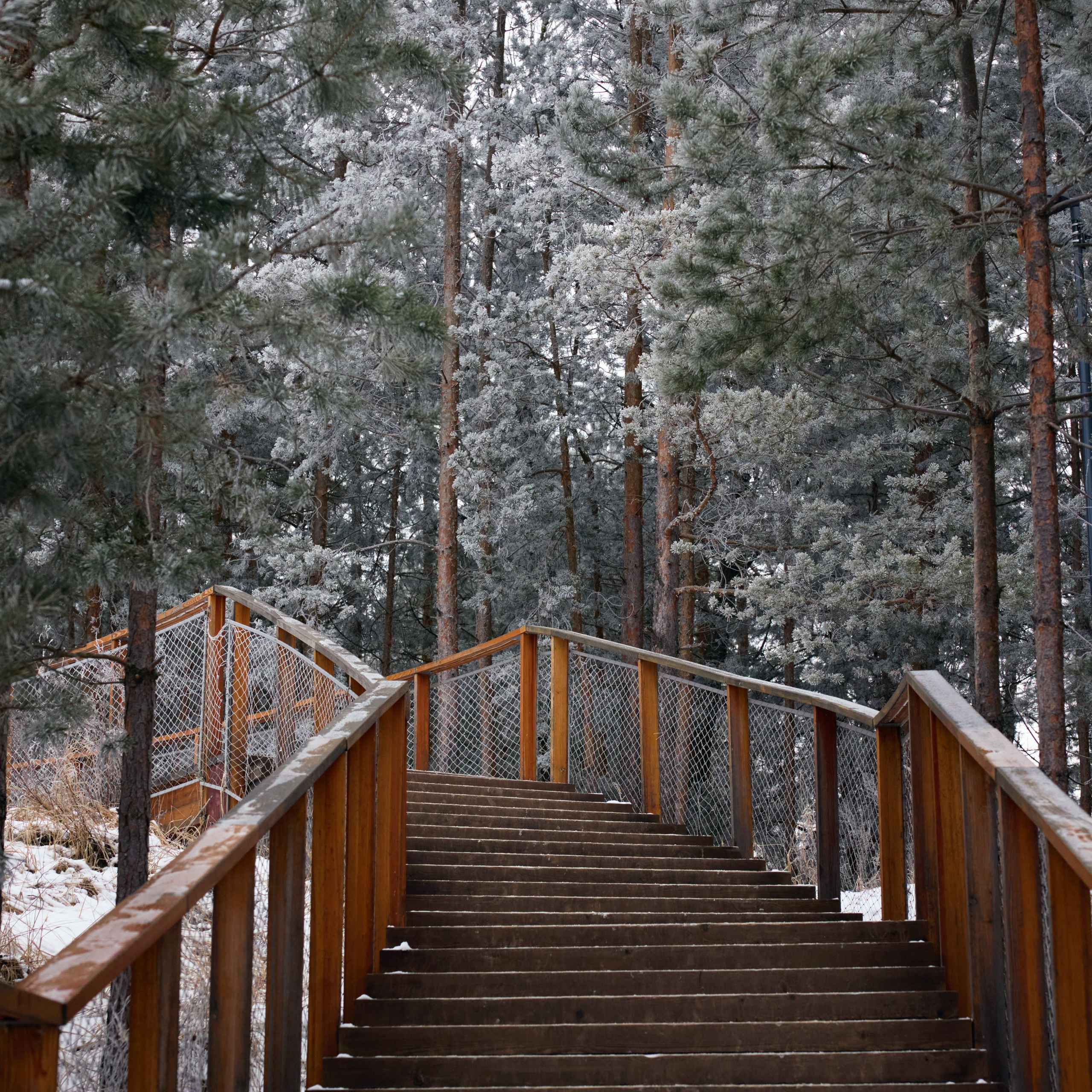 Коллекция «Несезонный Нижний». Фотограф Чугунов Александр